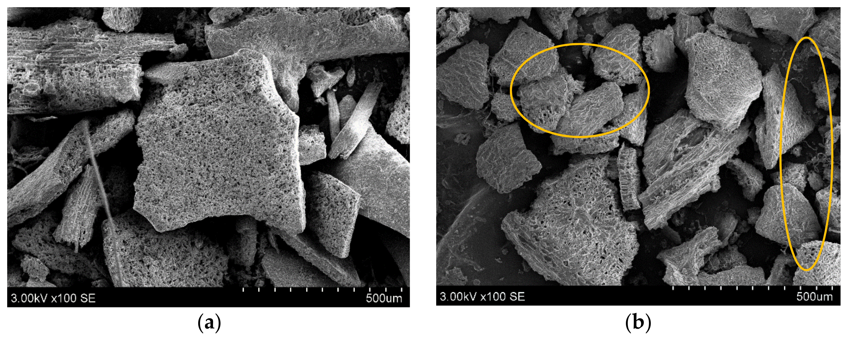 Plants 11 01833 g001a