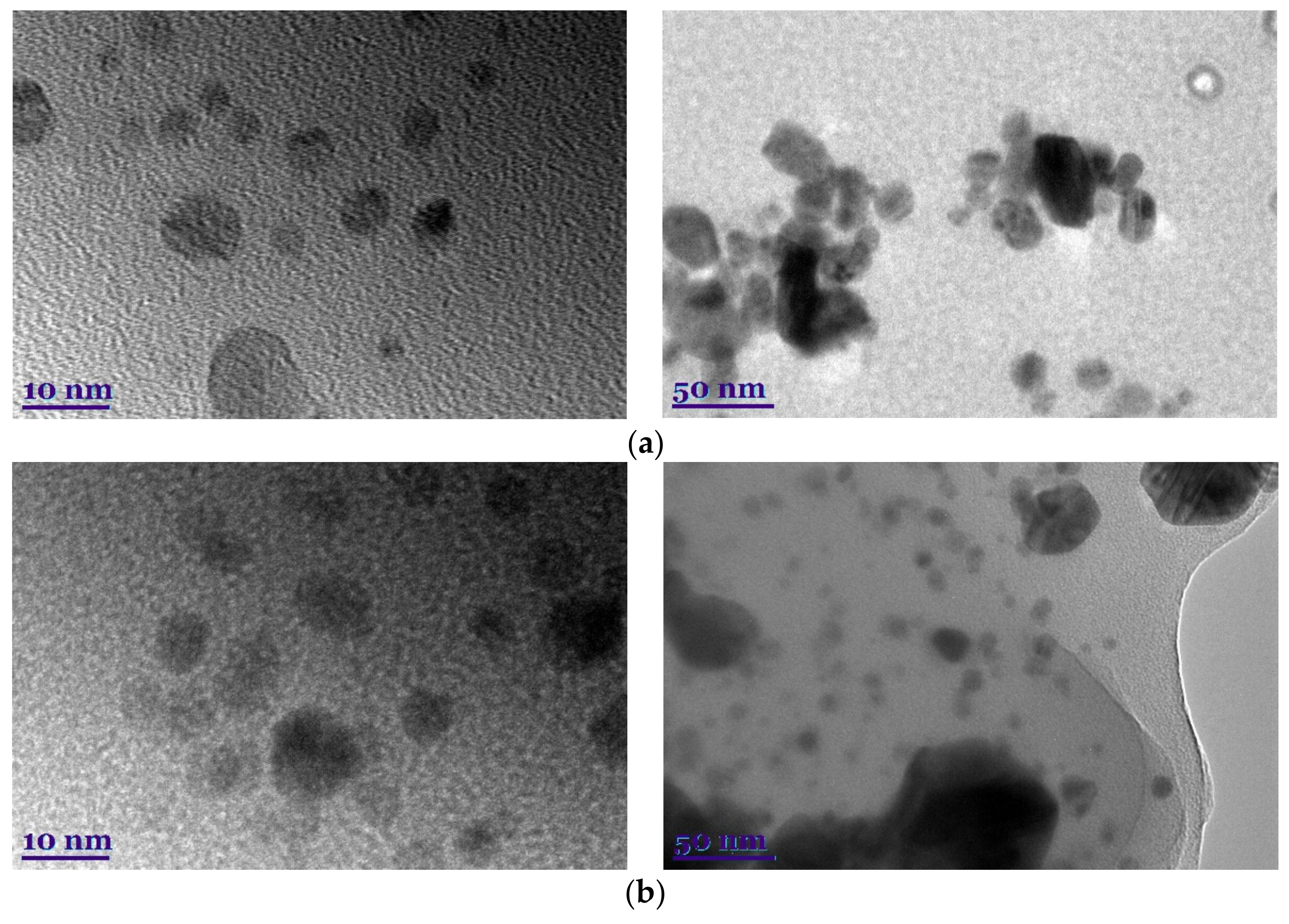 Plants 11 01833 g002a