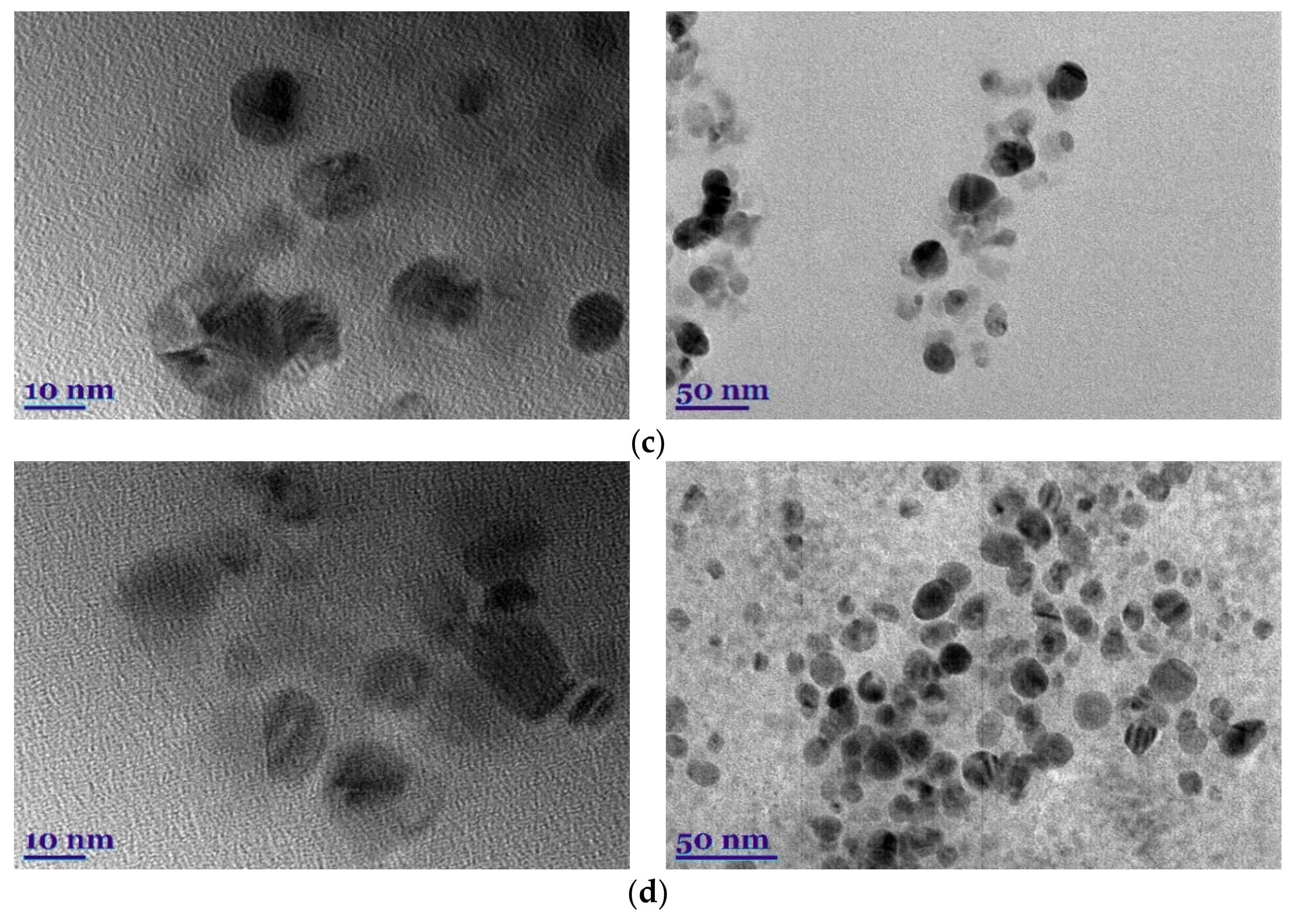 Plants 11 01833 g002b