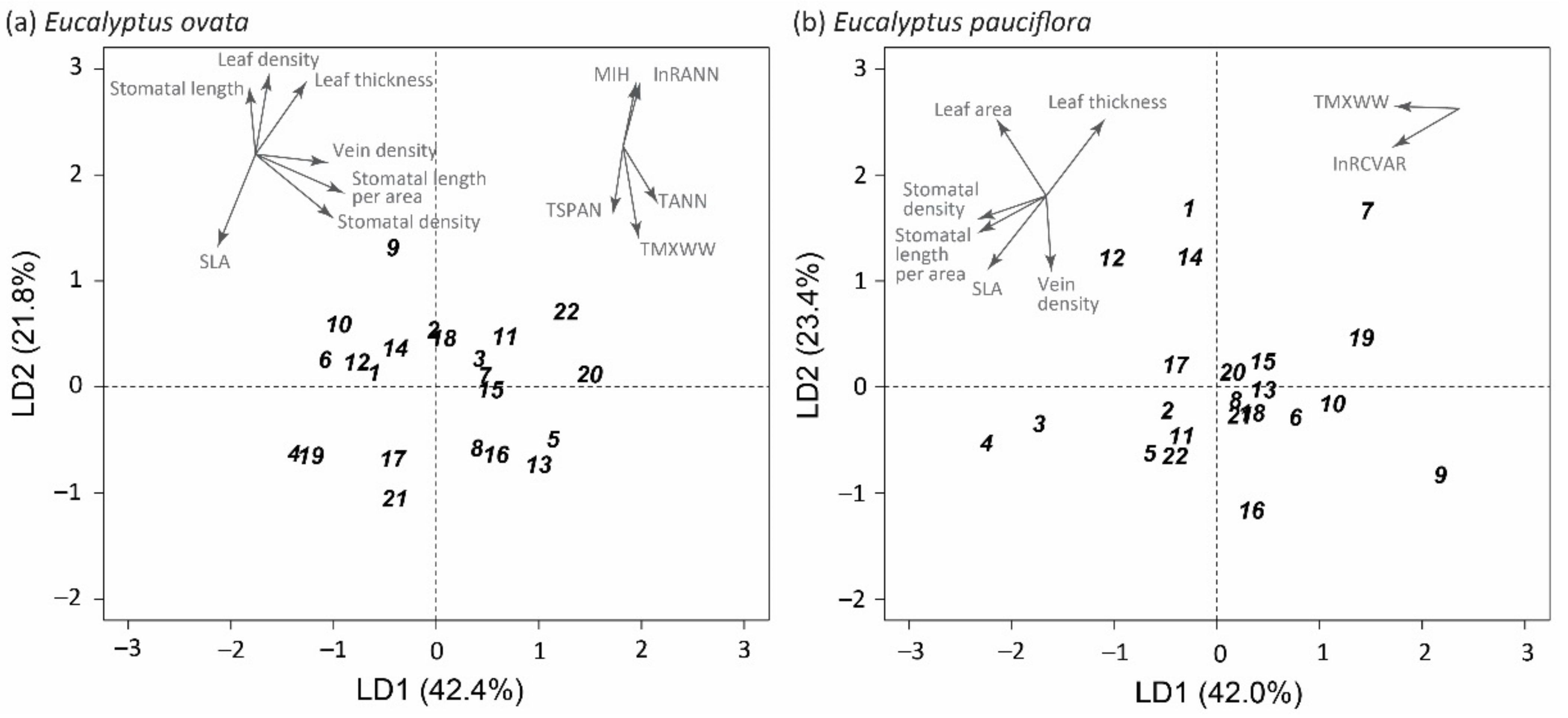 Plants 11 01846 g001 Plants 11 01846 g001