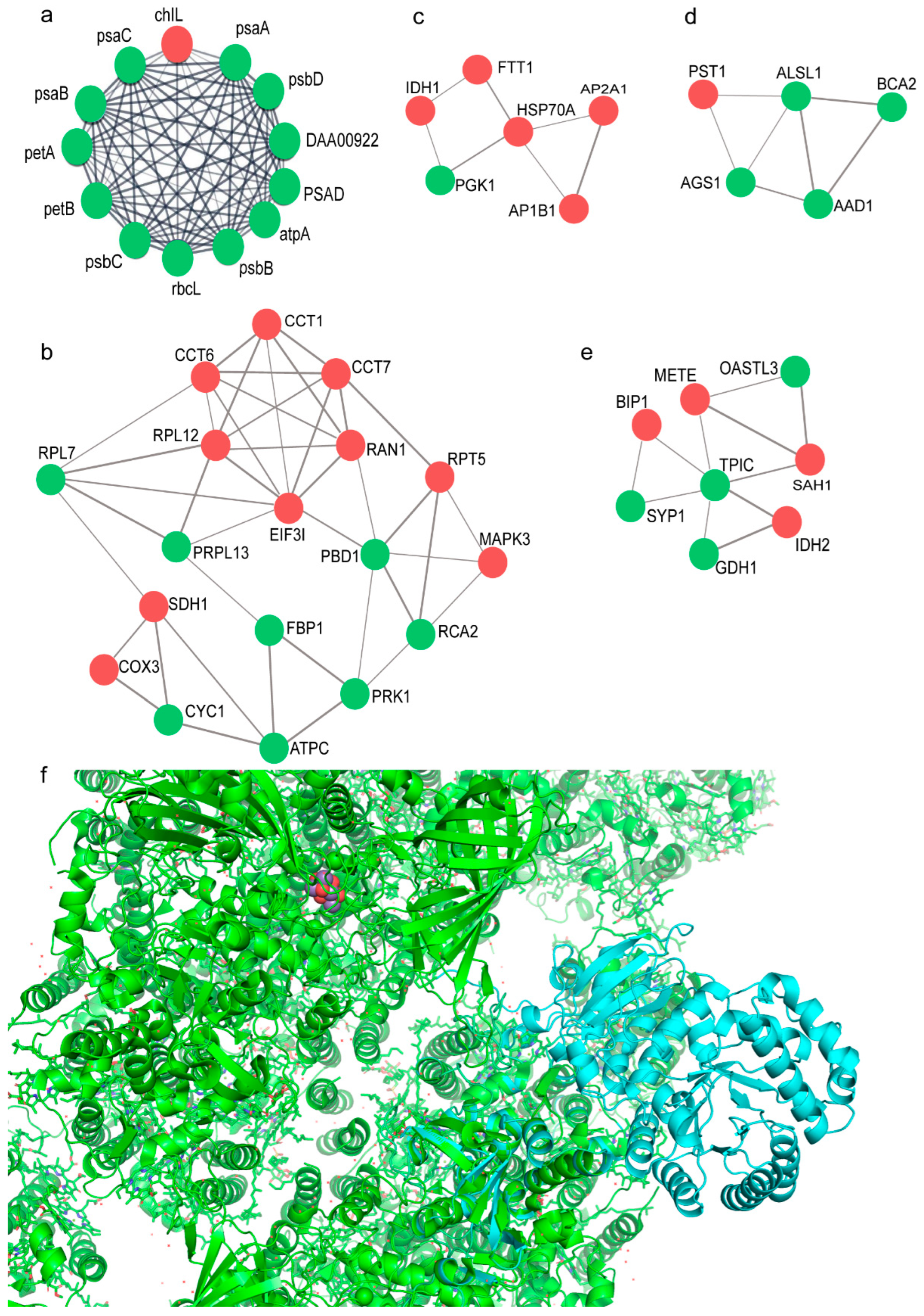 Plants 11 01851 g006