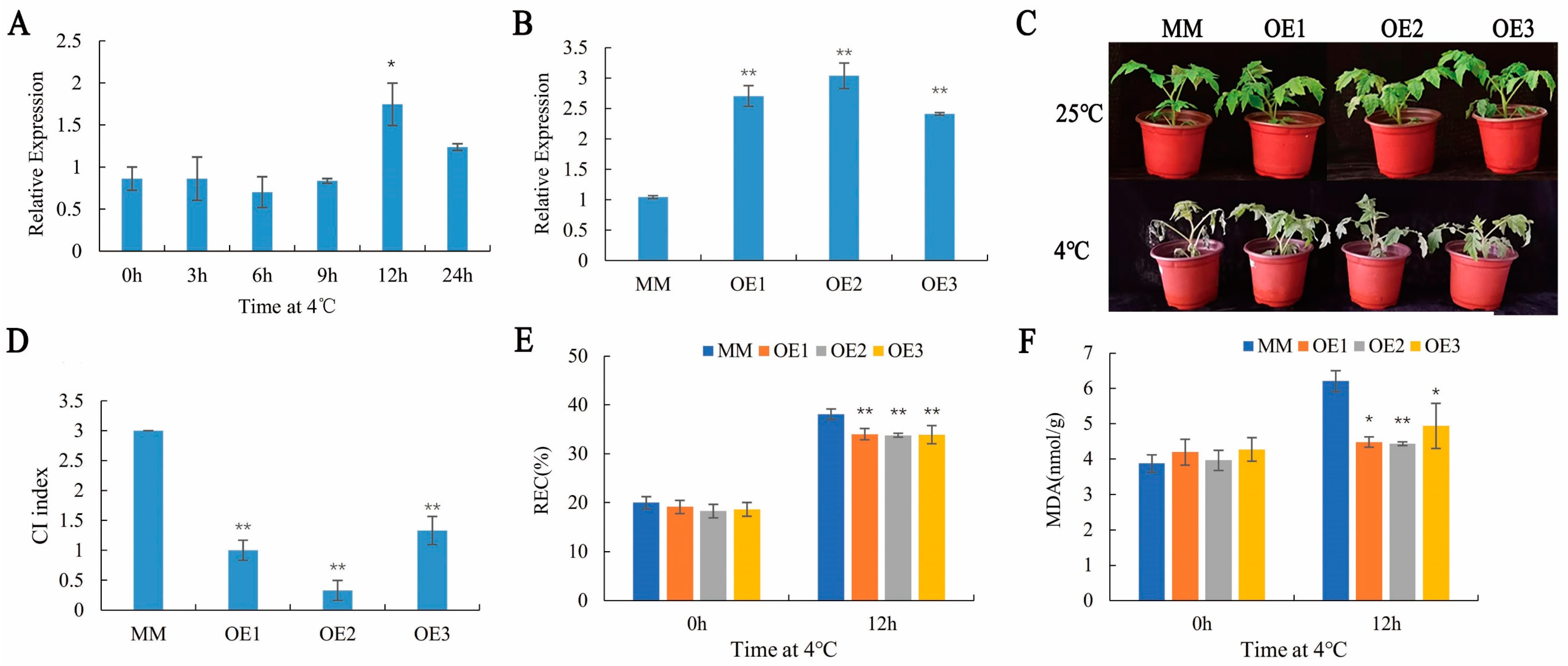 Plants 11 01865 g001
