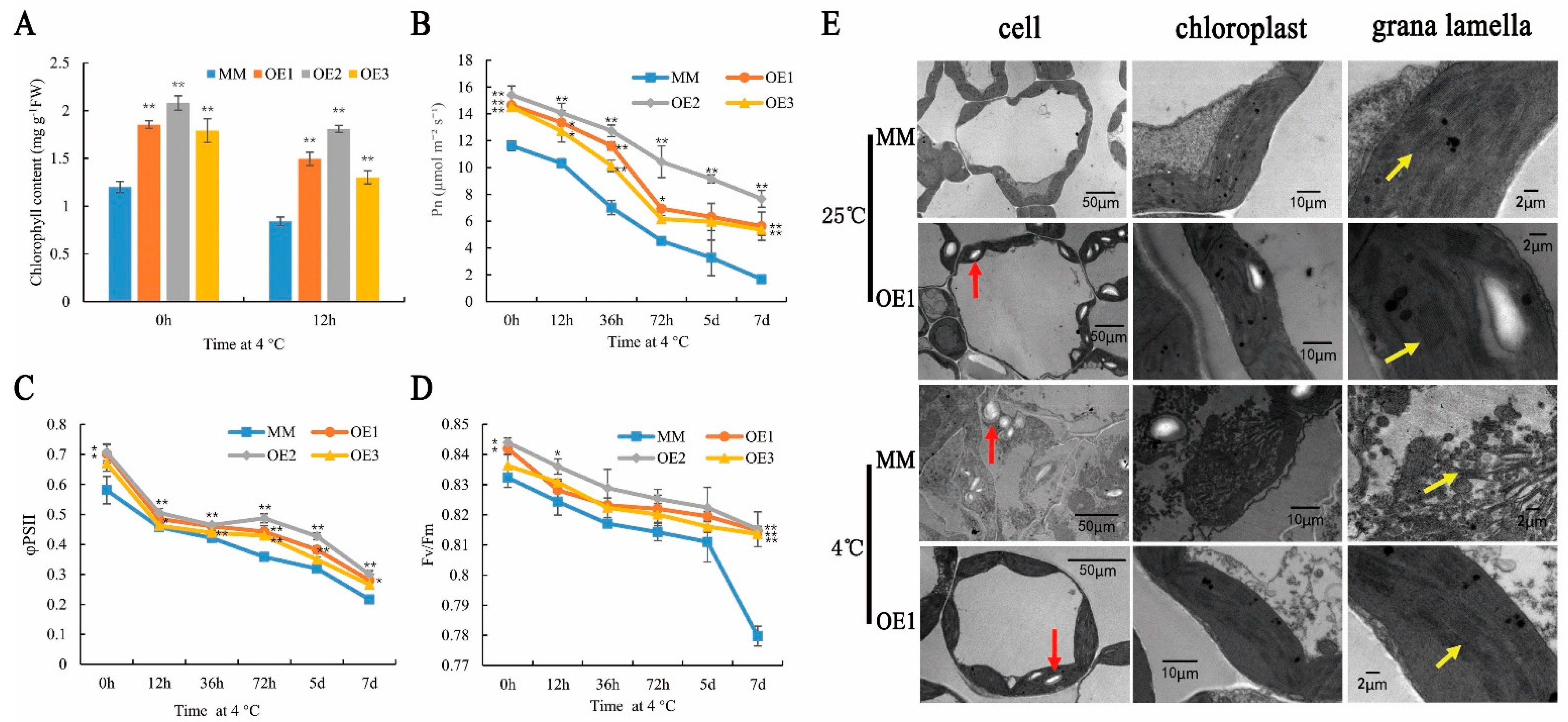 Plants 11 01865 g002