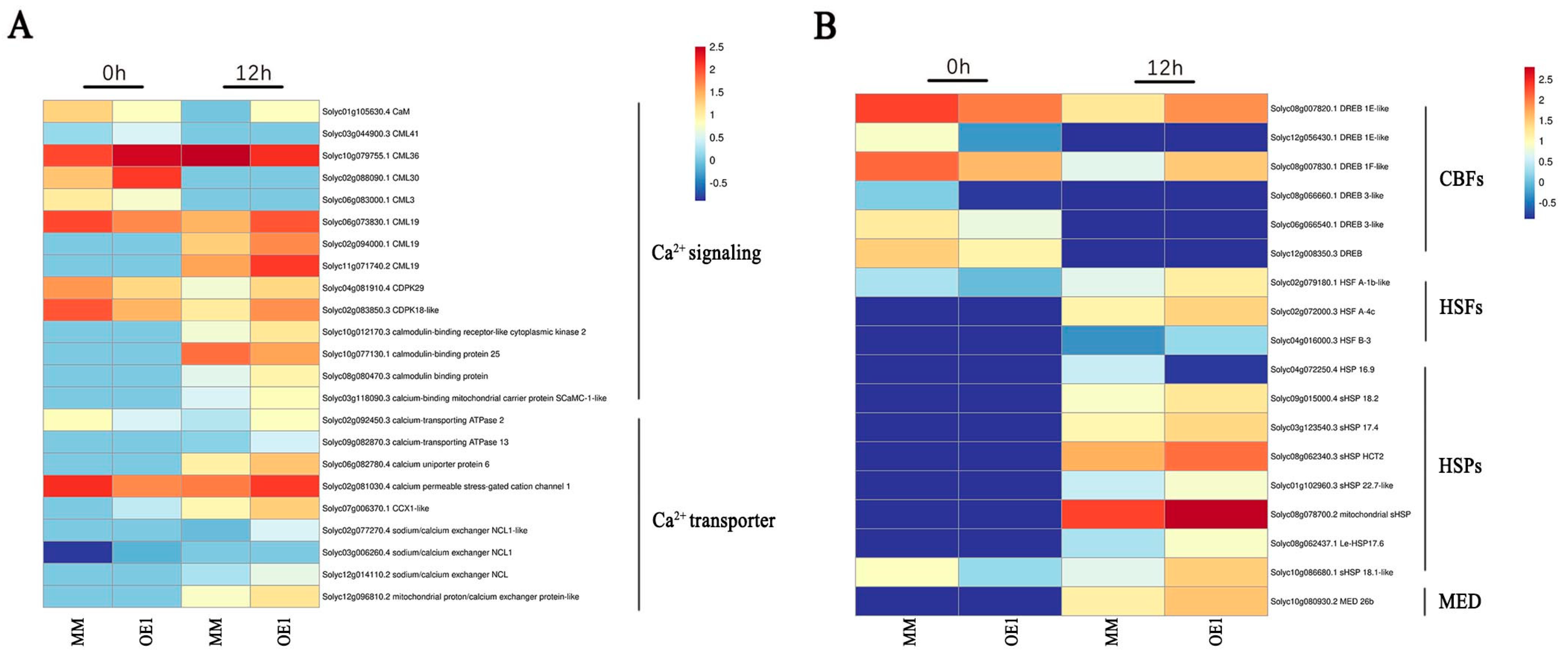 Plants 11 01865 g004
