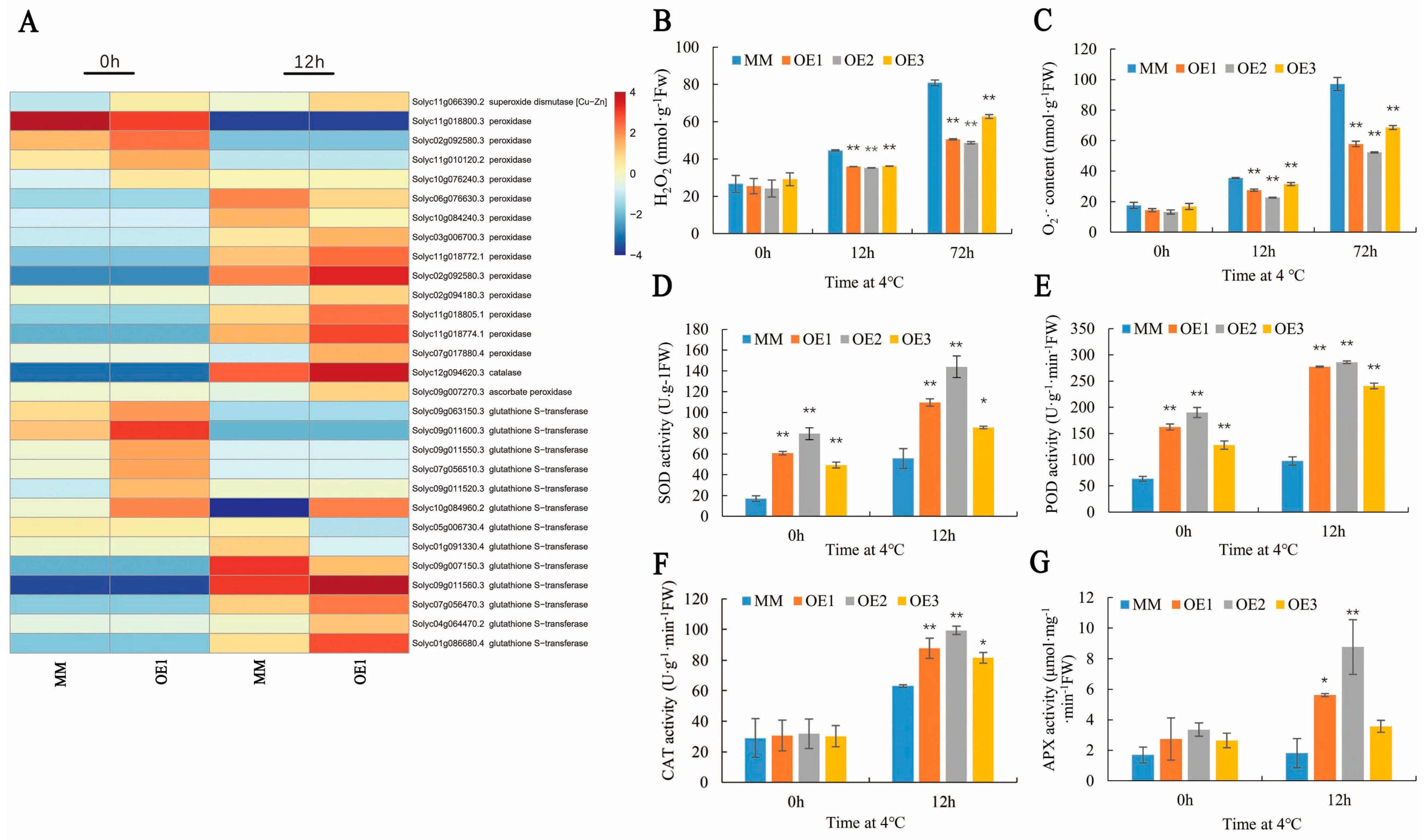 Plants 11 01865 g006