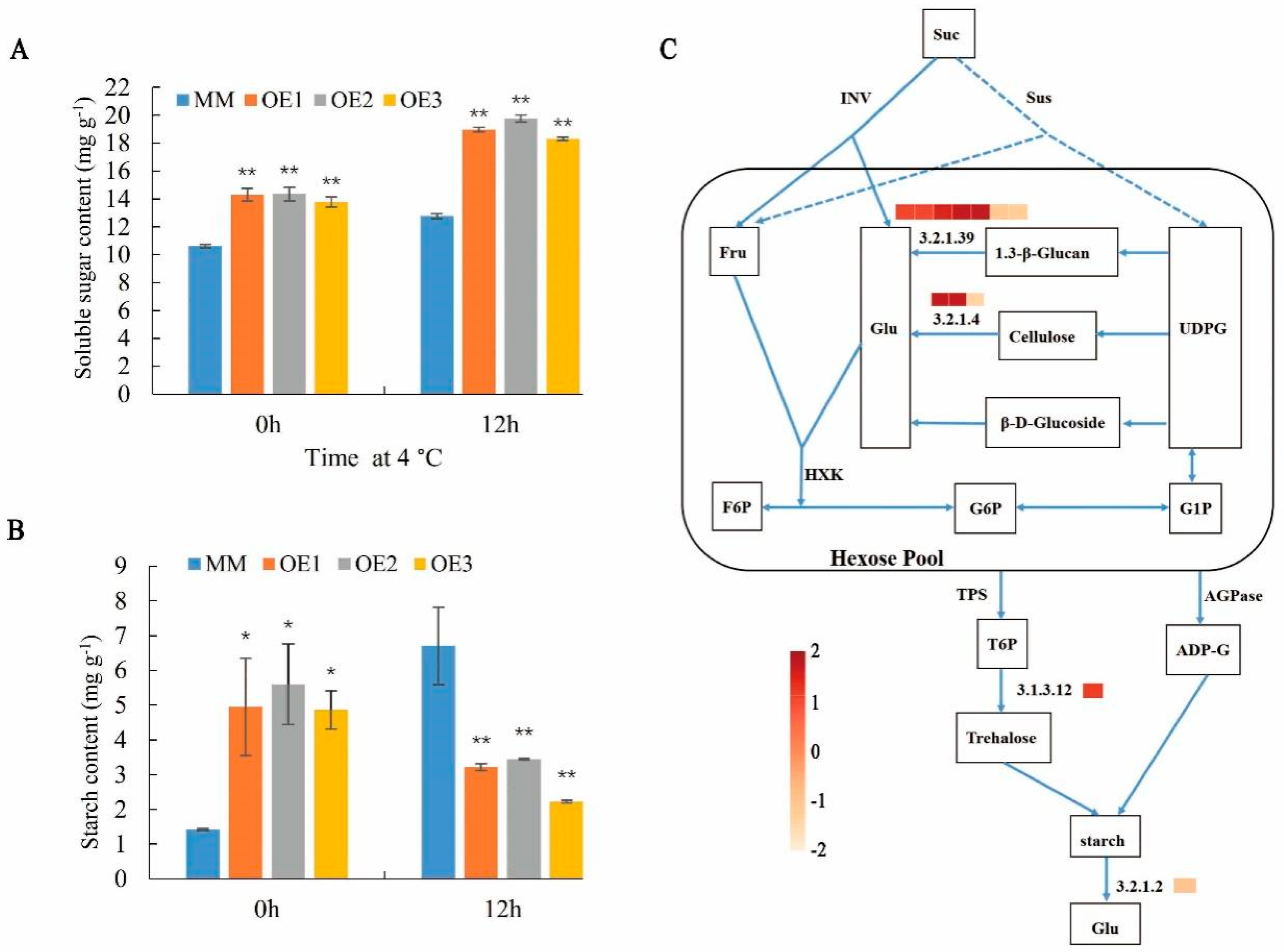 Plants 11 01865 g007