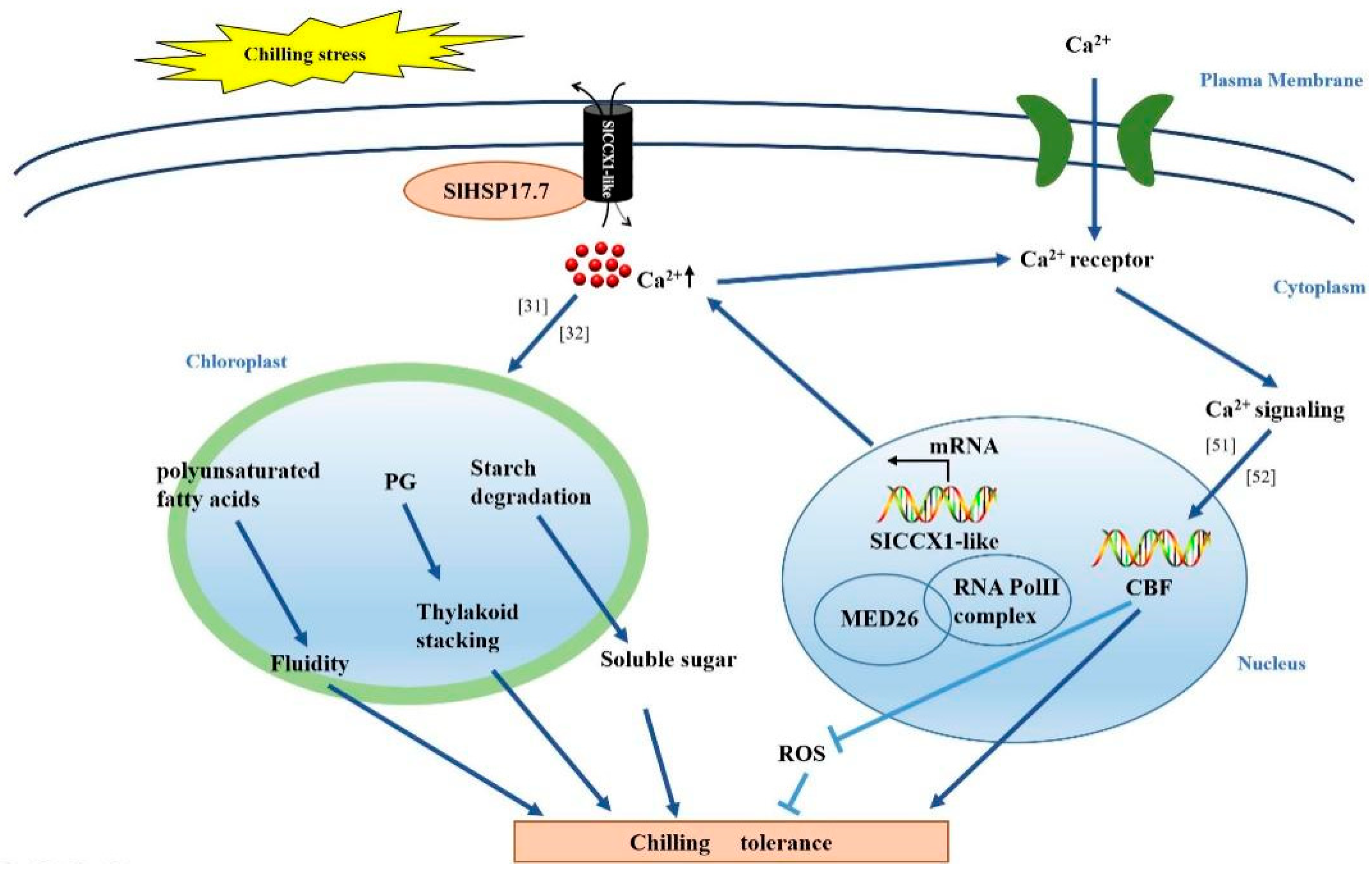 Plants 11 01865 g008