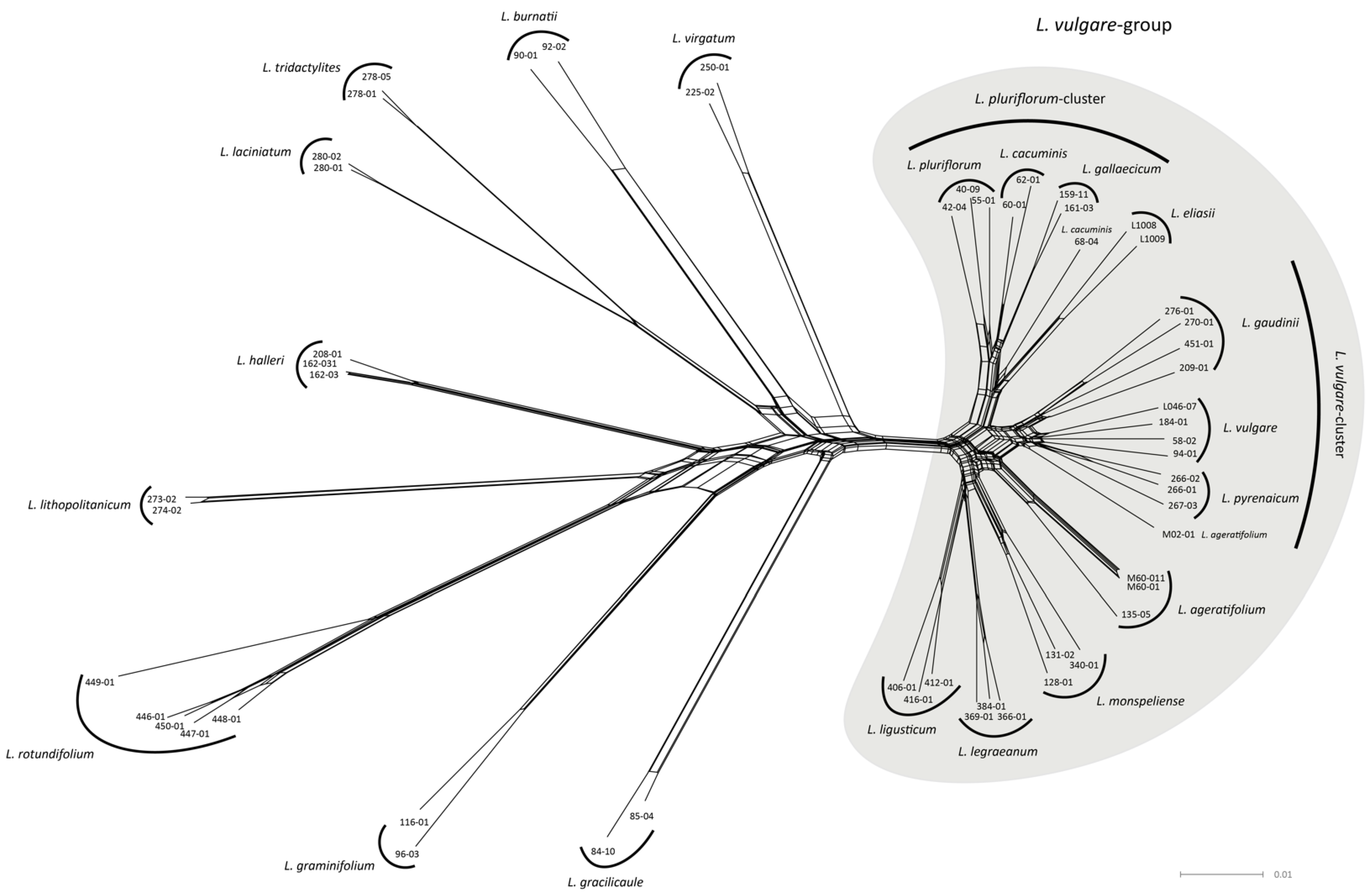 Plants 11 01878 g001