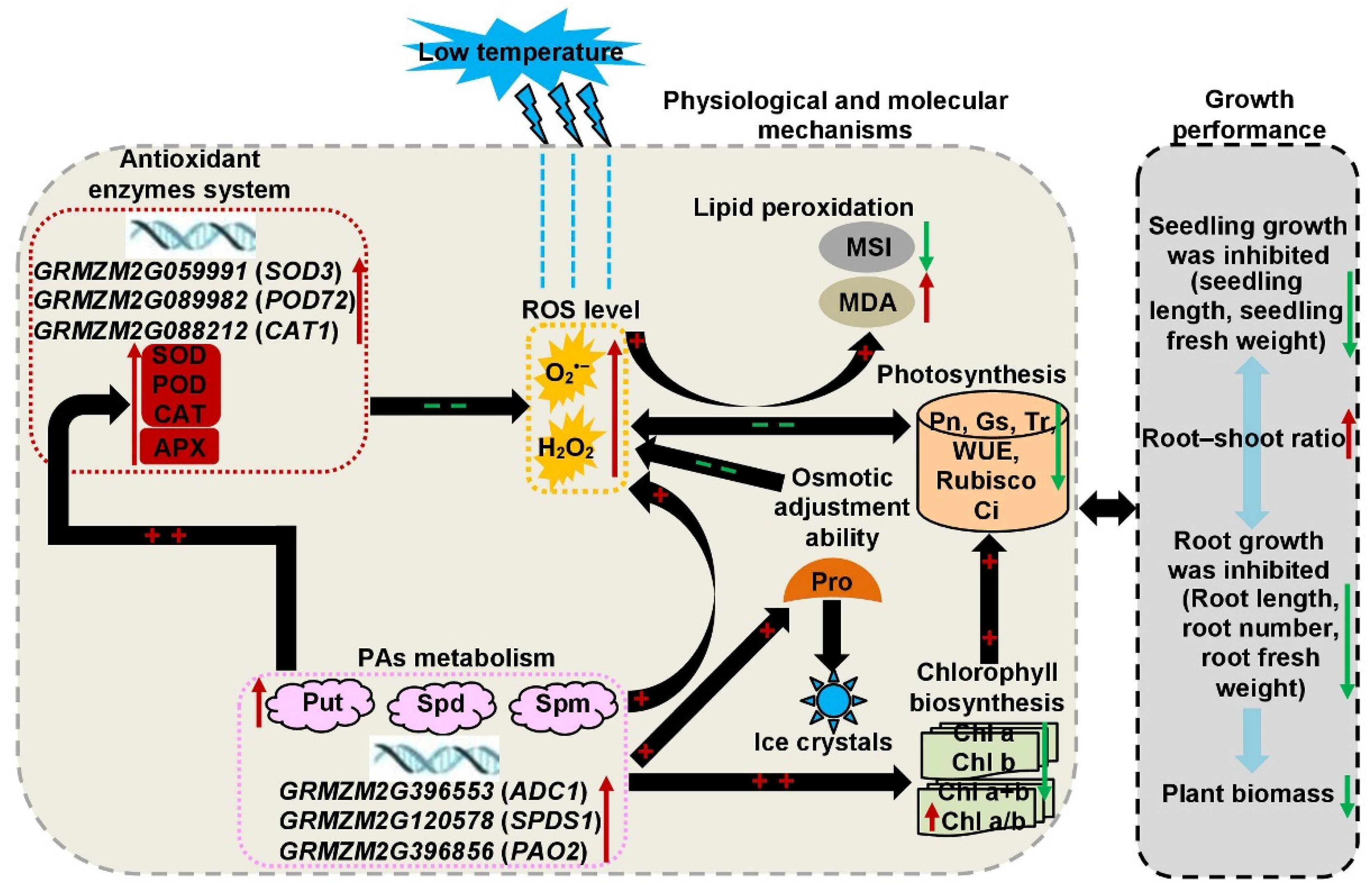 Plants 11 01881 g006