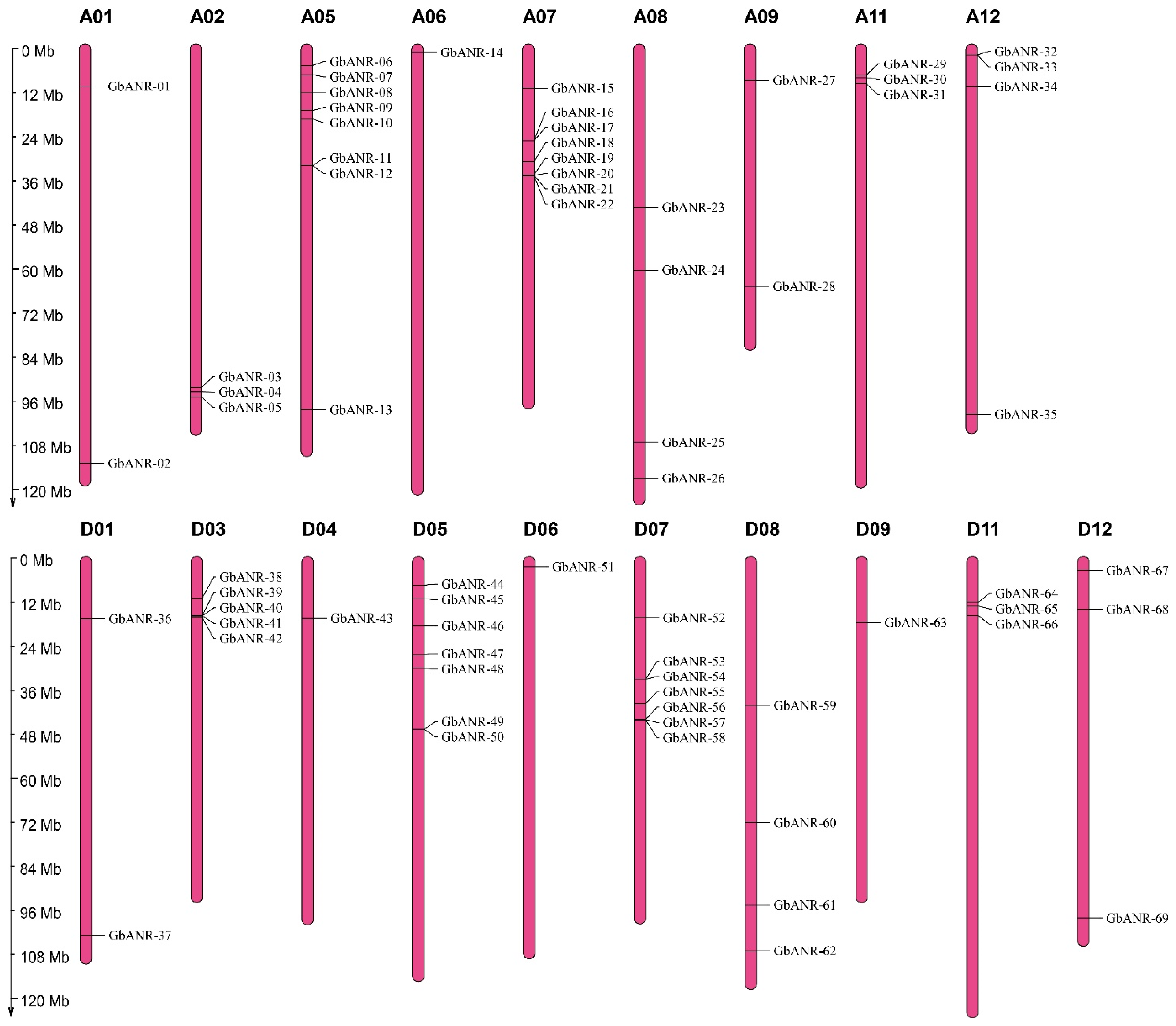 Plants 11 01902 g001