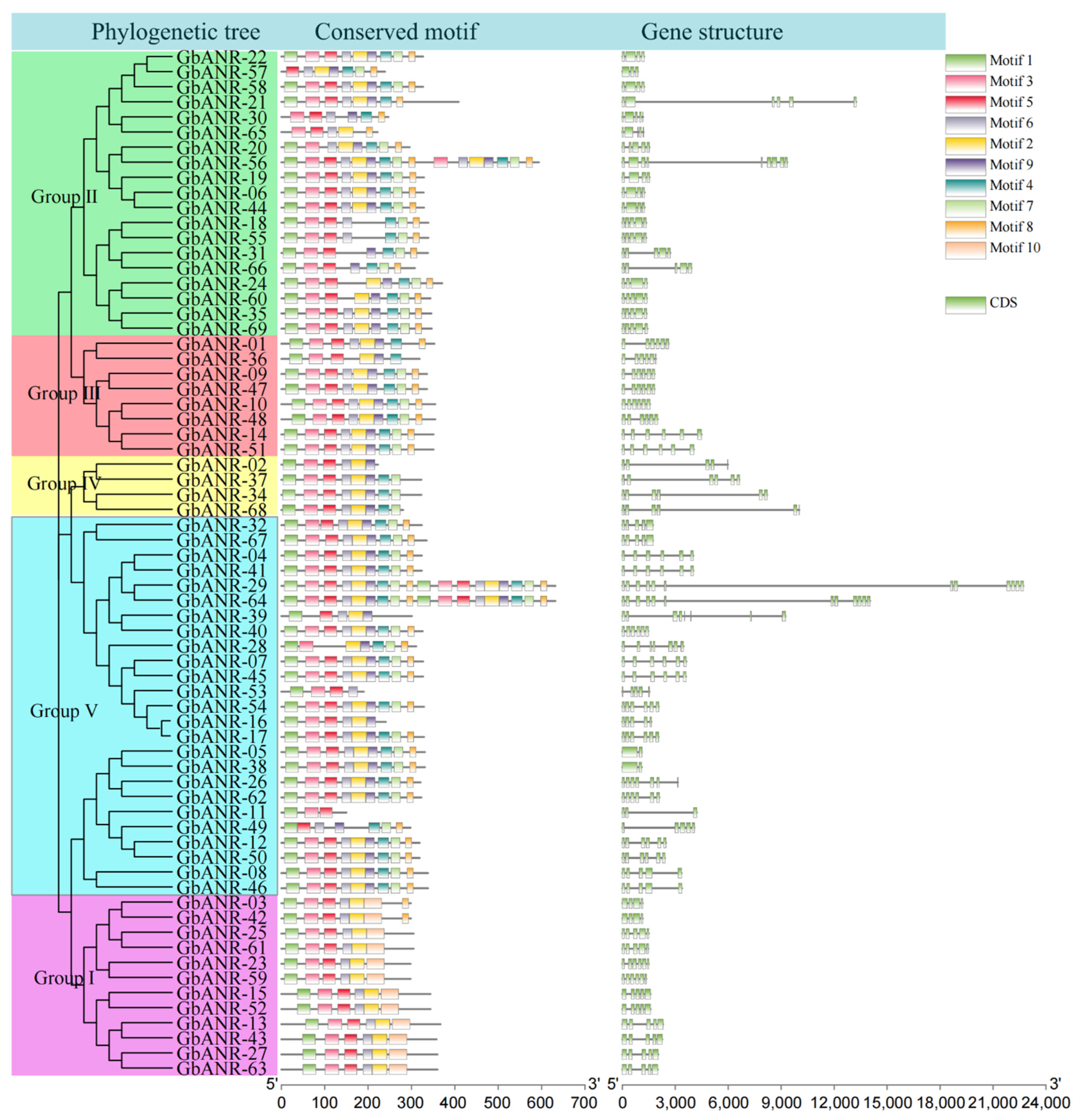Plants 11 01902 g003