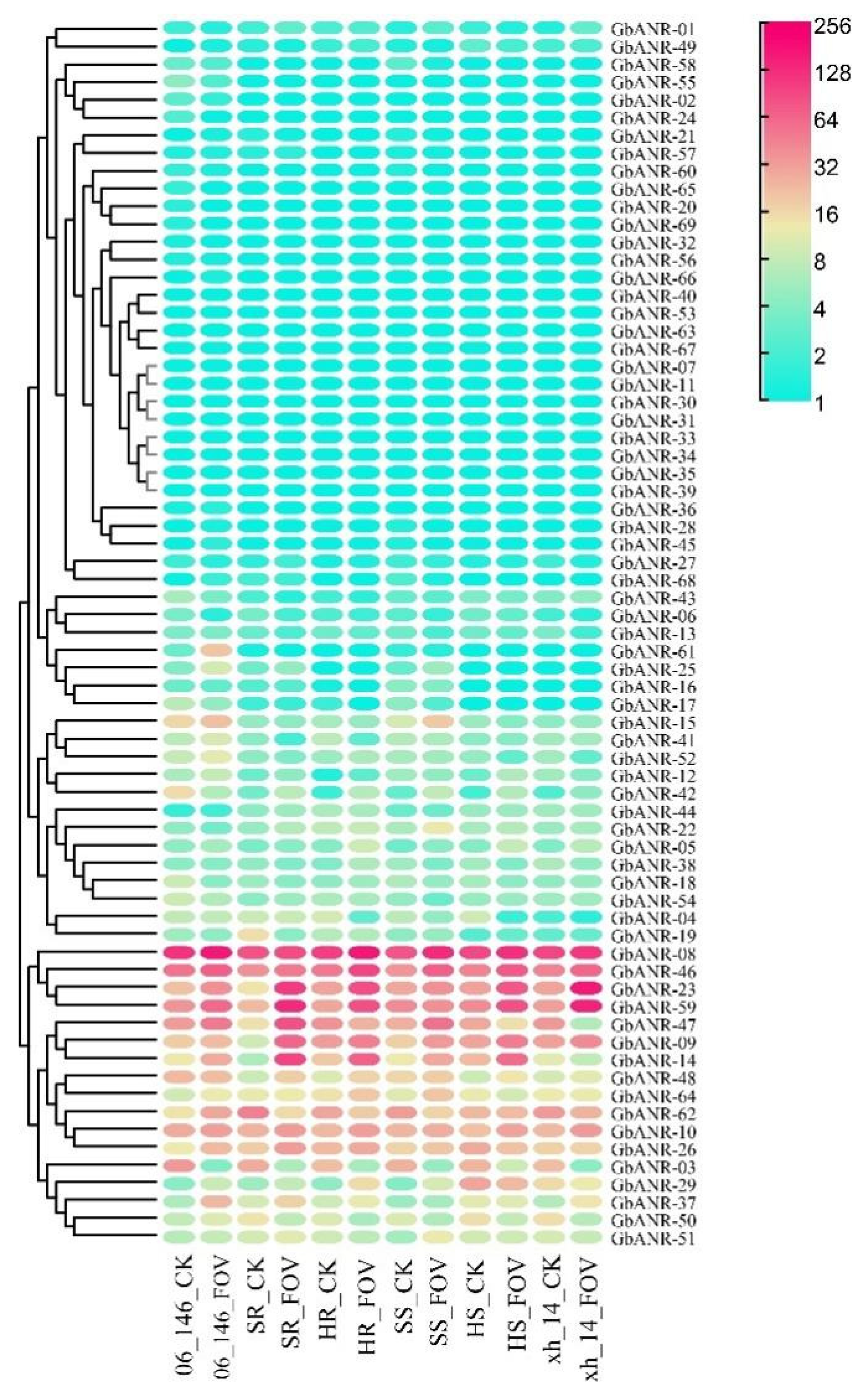 Plants 11 01902 g005