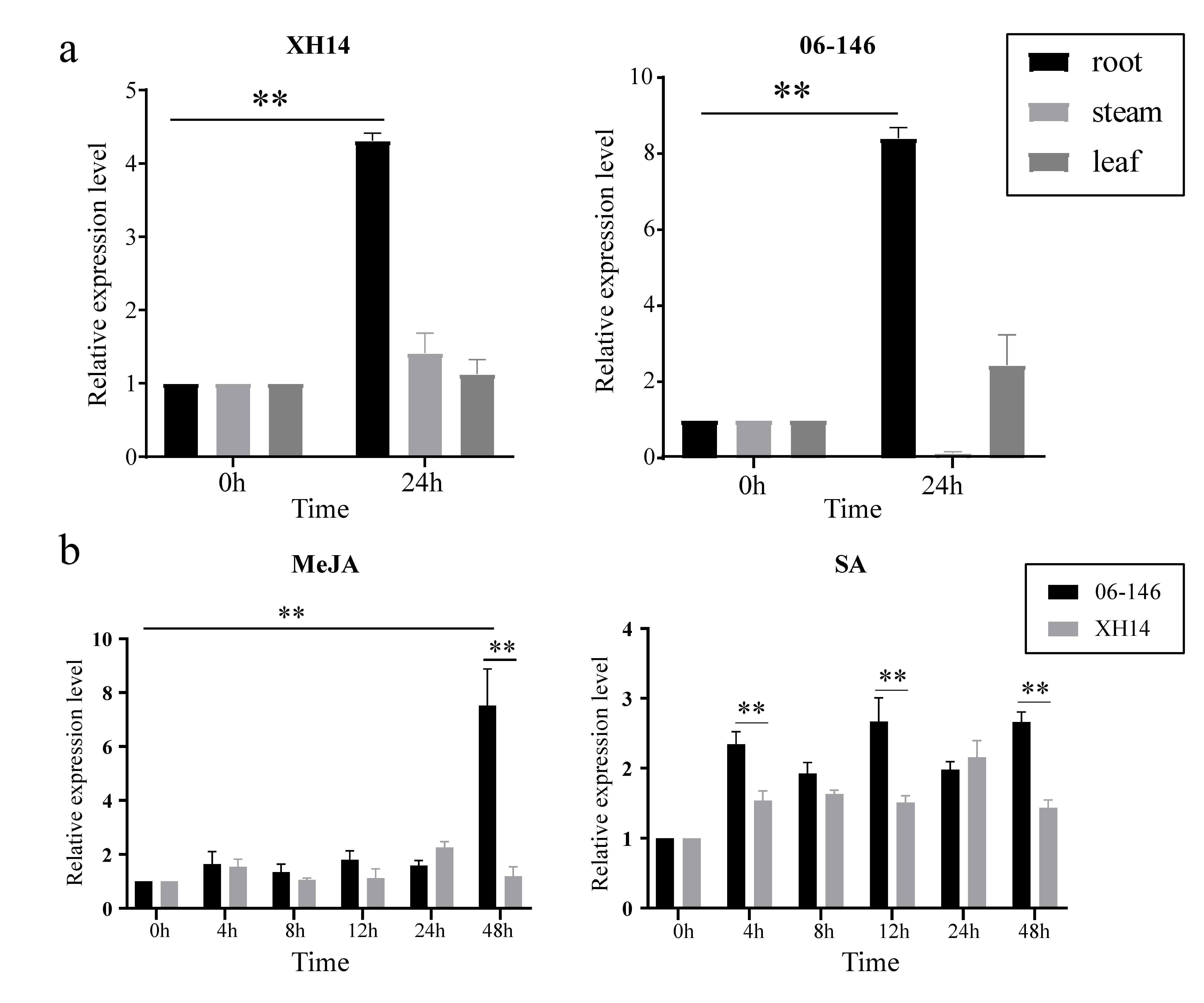 Plants 11 01902 g007