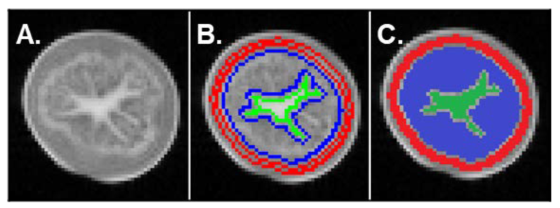 Plants 11 01918 g004 Plants 11 01918 g004