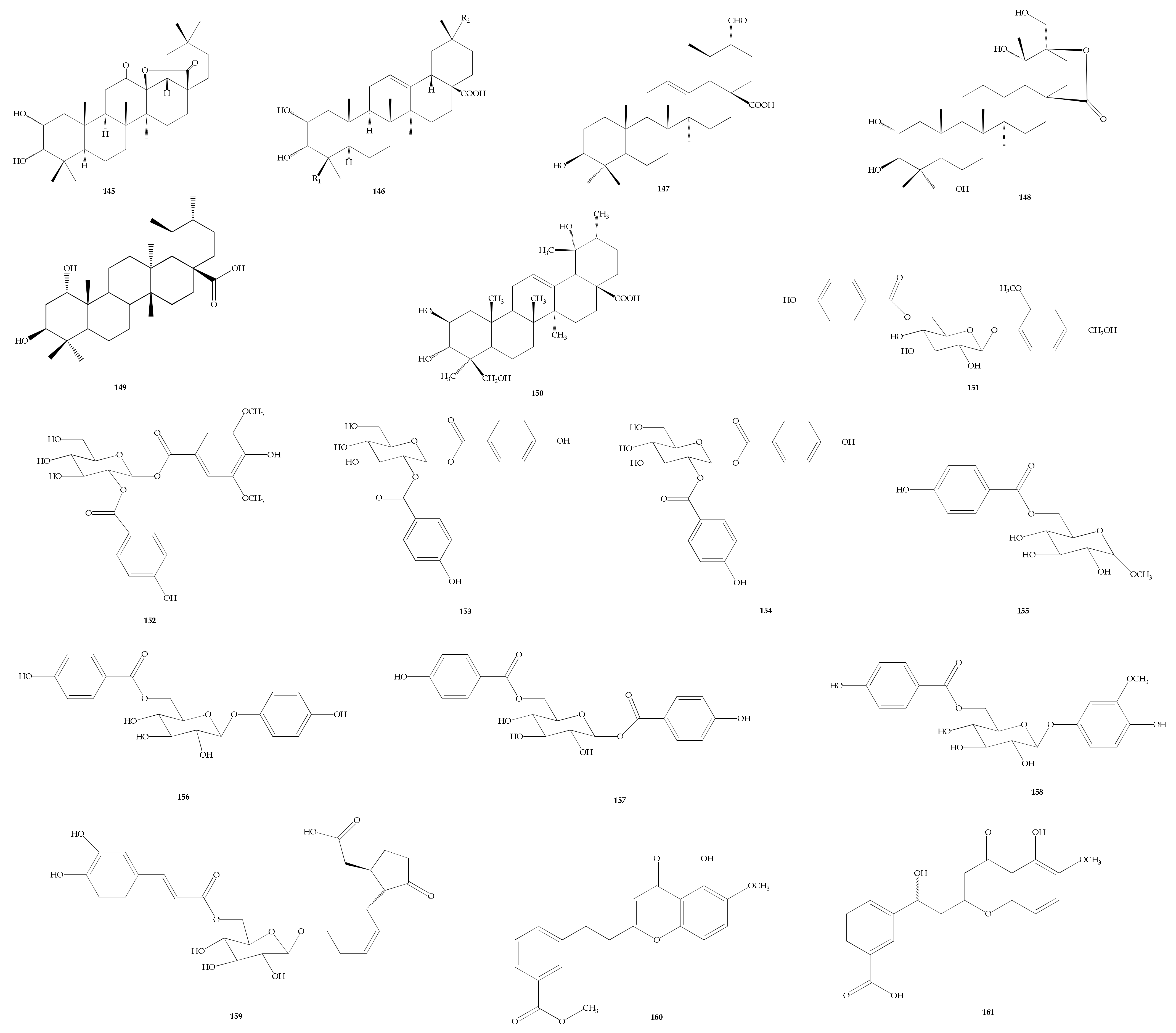 Plants Free Full Text Traditional Medicinal Uses Phytochemistry Biological Properties And Health Applications Of Vitex Sp