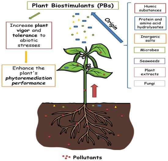 Plants | Free Full-Text | Use of Biostimulants as a New Approach for ...