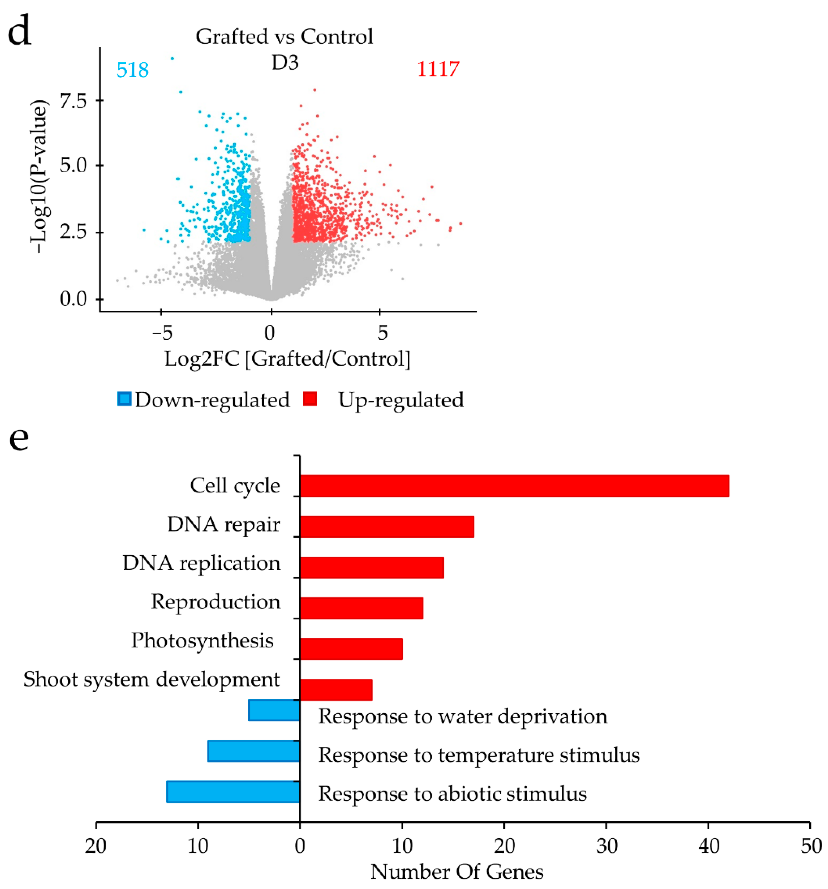 Plants 11 01947 g004b