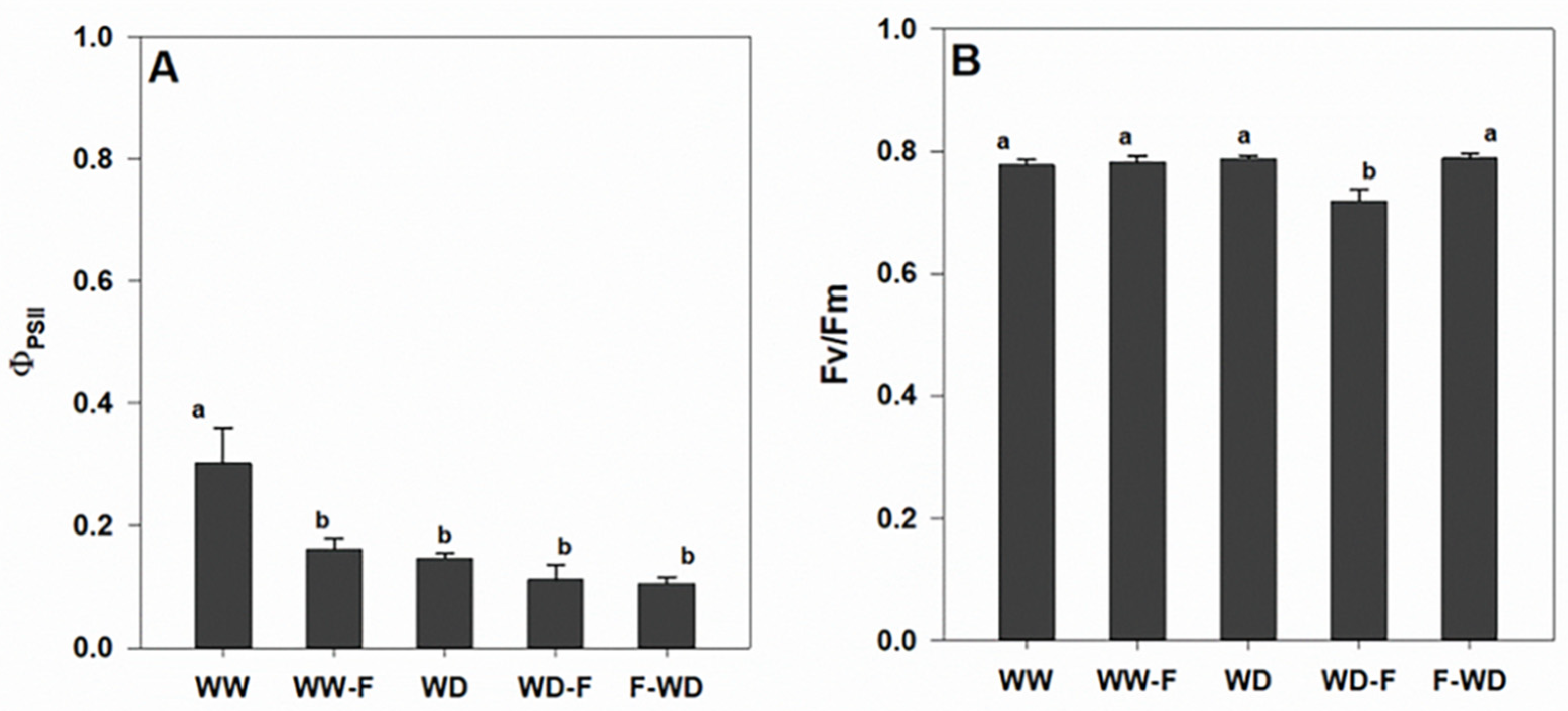 Plants 11 01961 g004 Plants 11 01961 g004