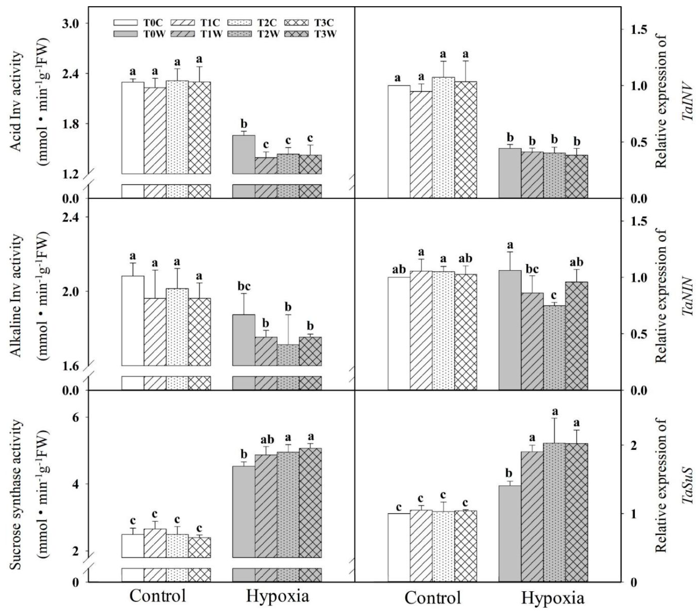 Plants 11 01969 g004