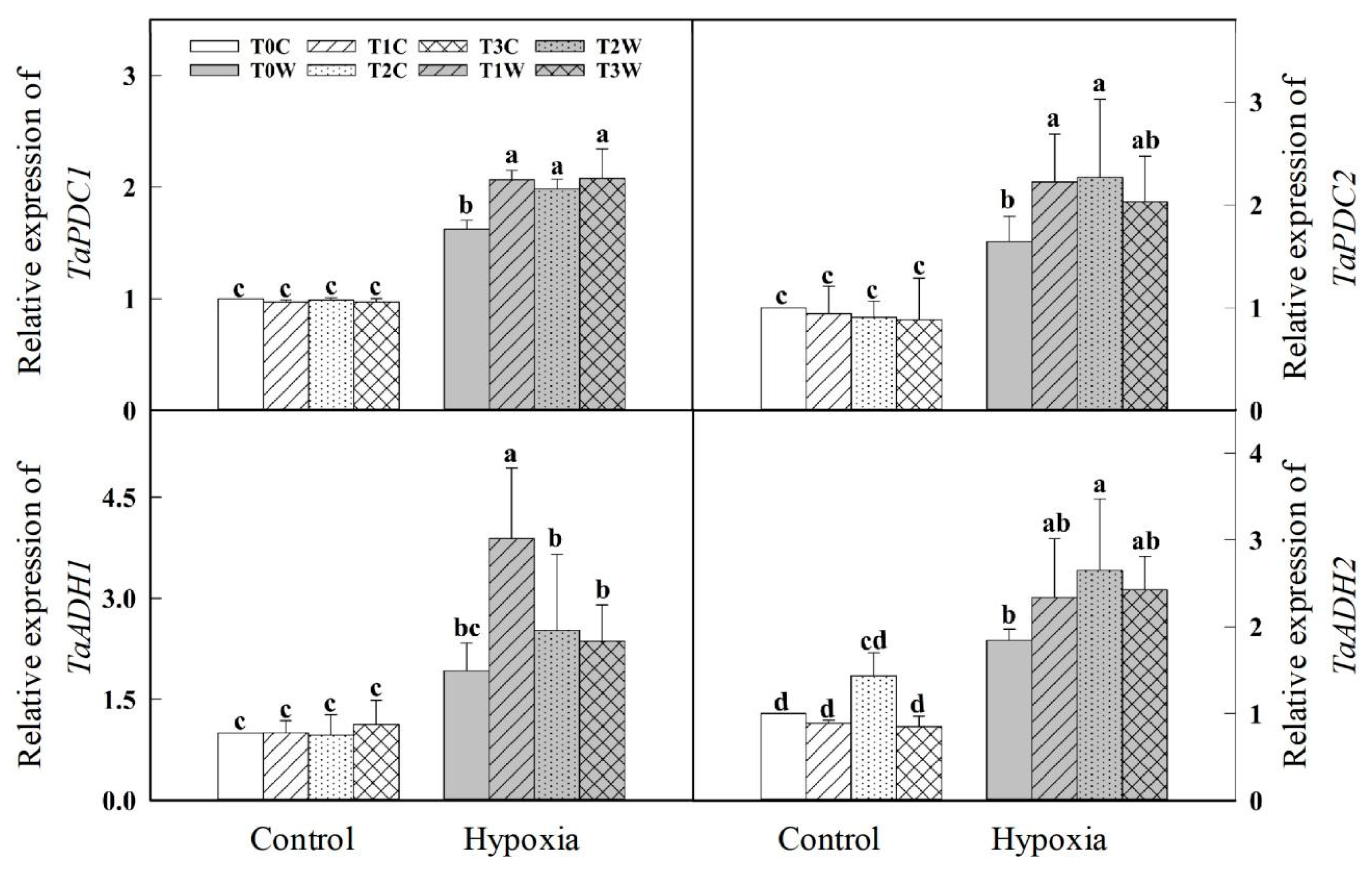 Plants 11 01969 g006