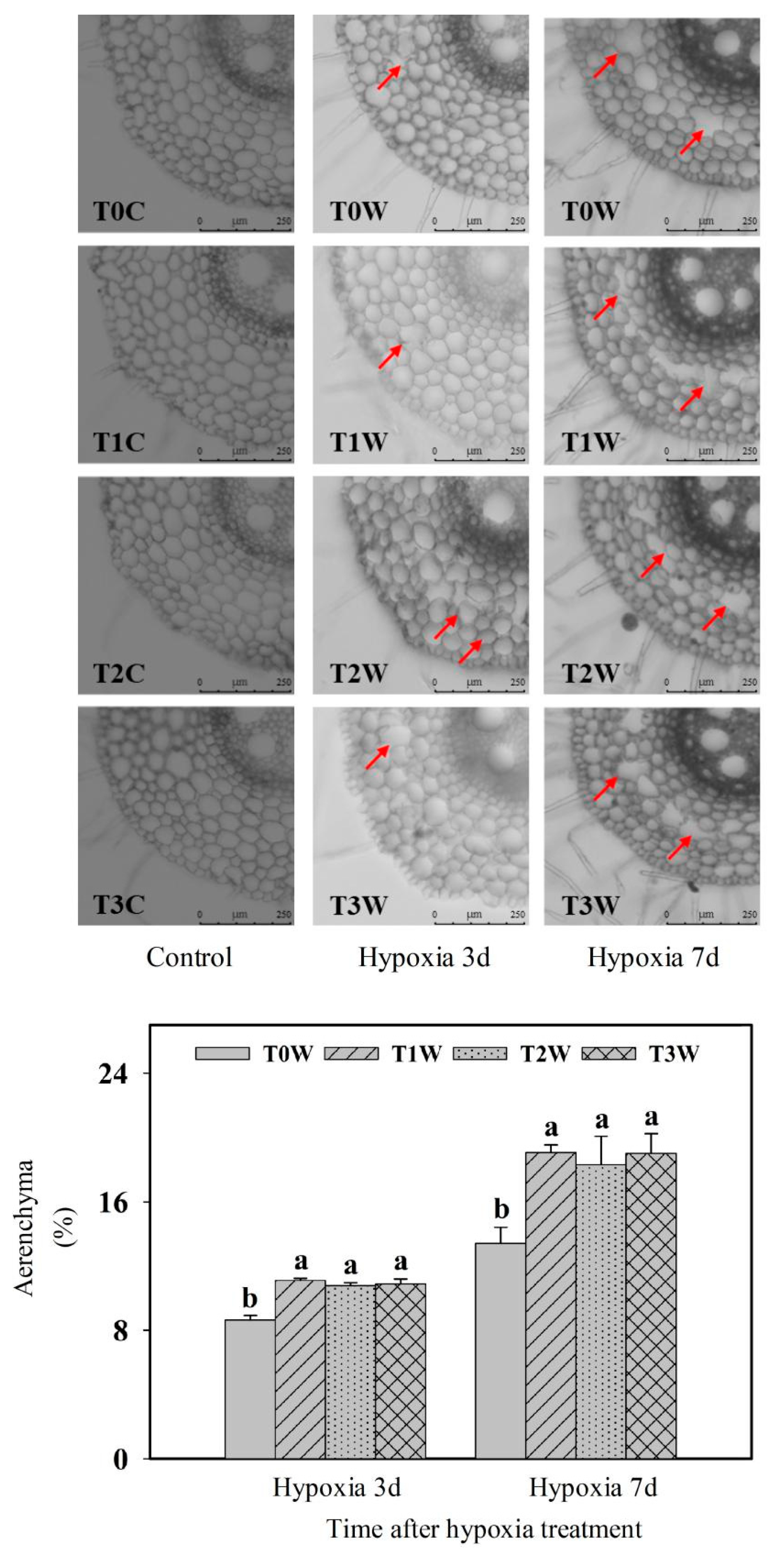 Plants 11 01969 g007