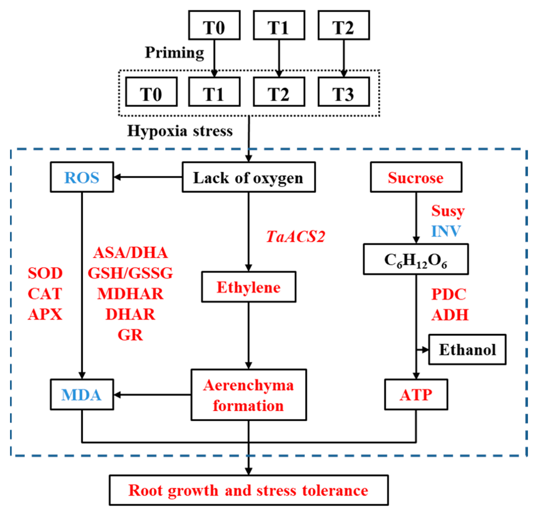 Plants 11 01969 g009