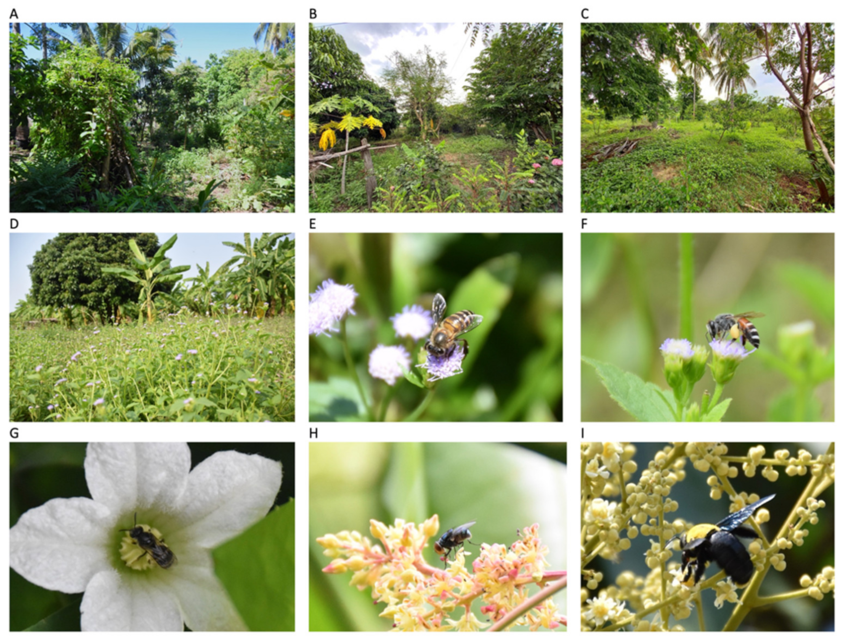 Plants 11 01976 g002