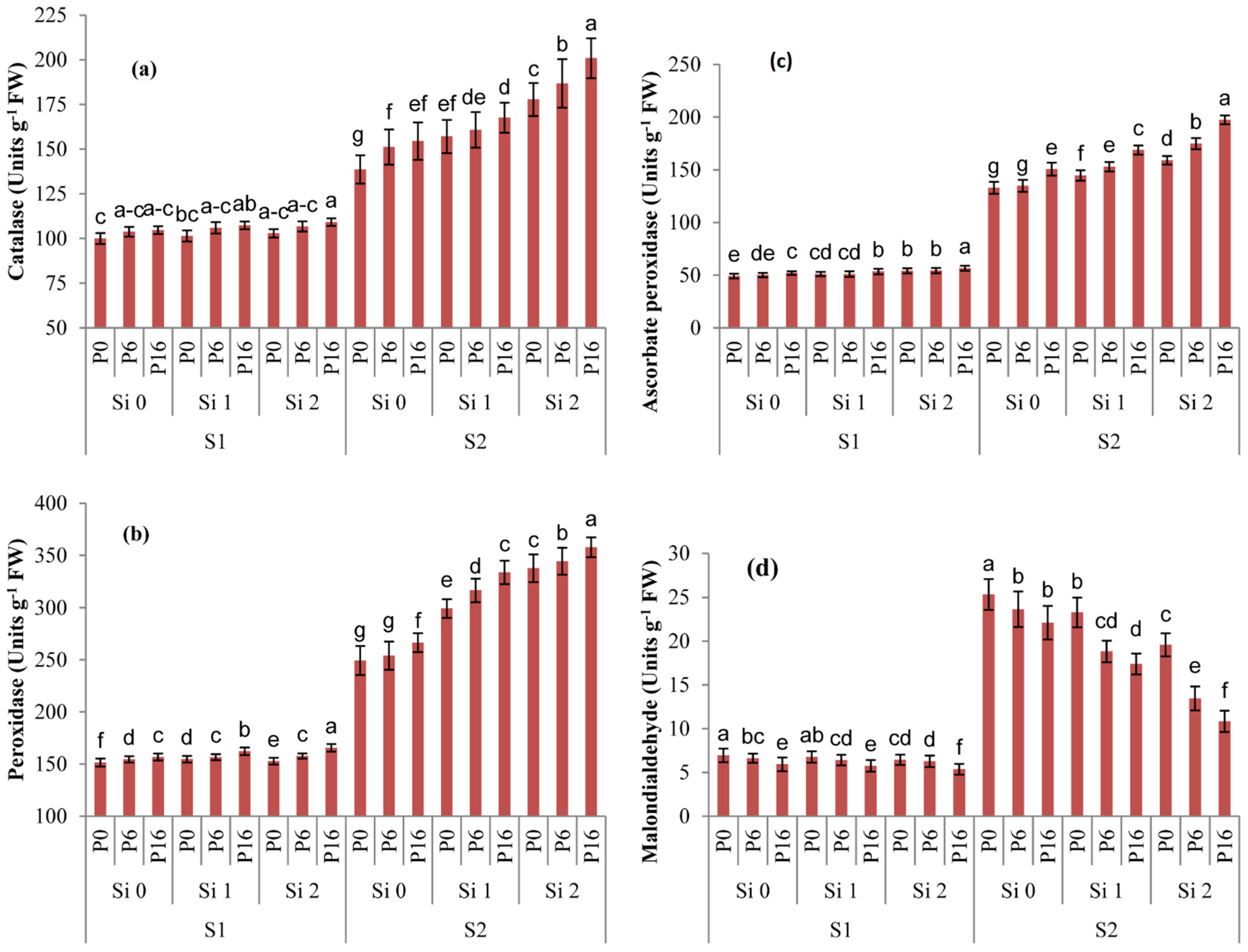 Plants 11 01980 g001