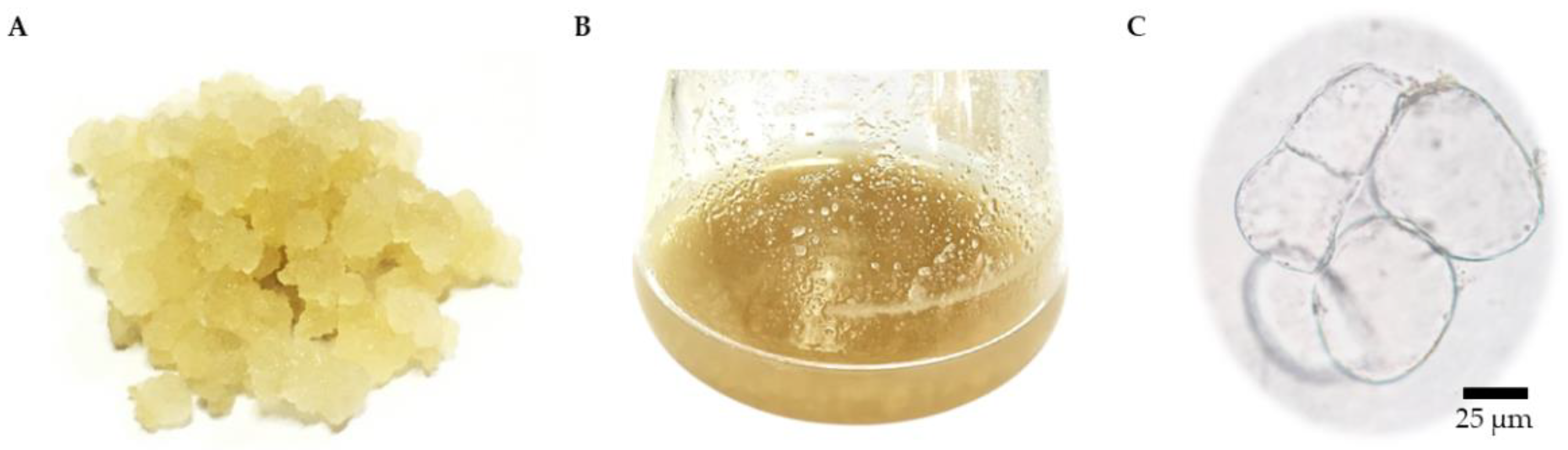 Plants 11 01994 g003