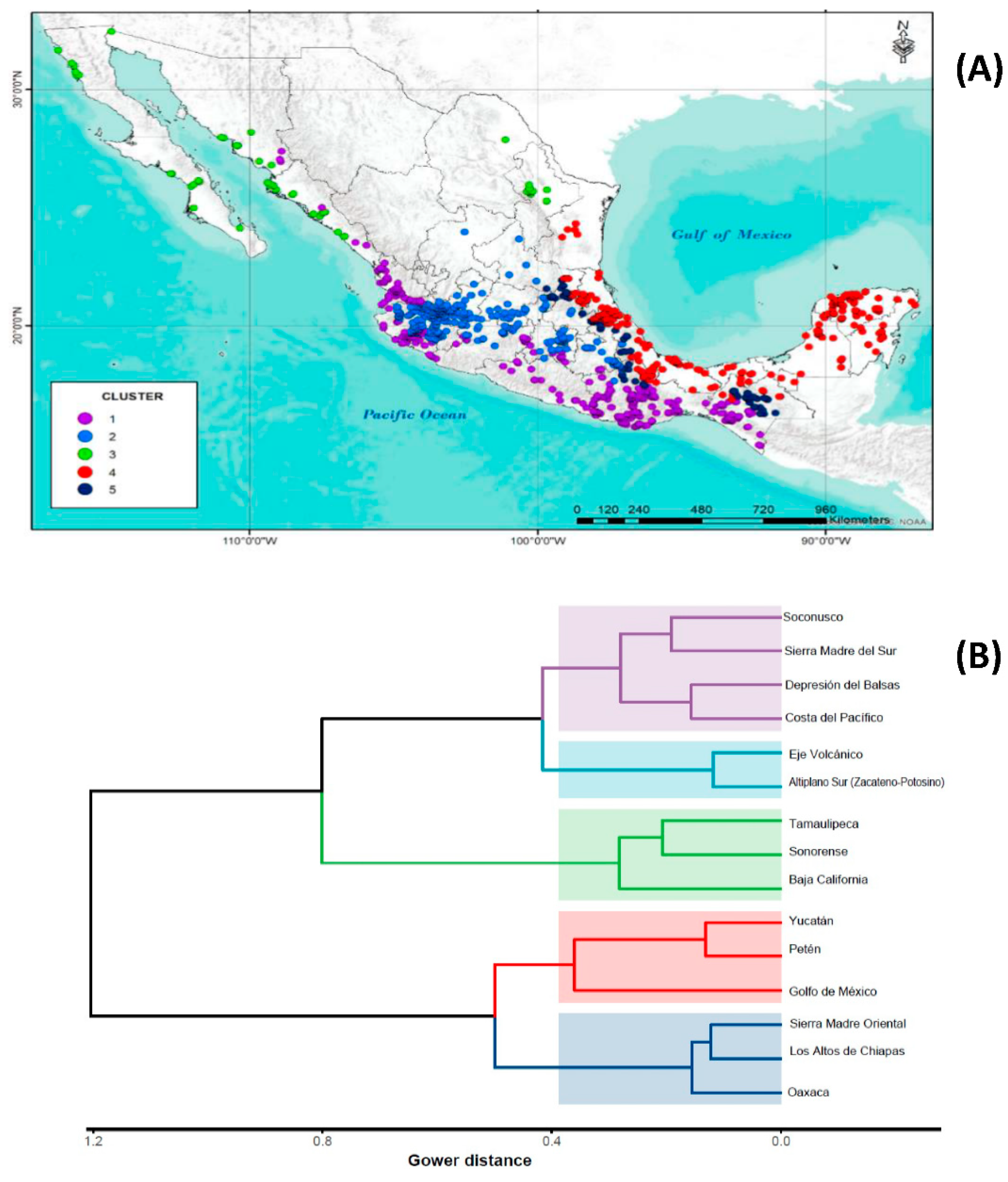 Plants 11 02007 g002