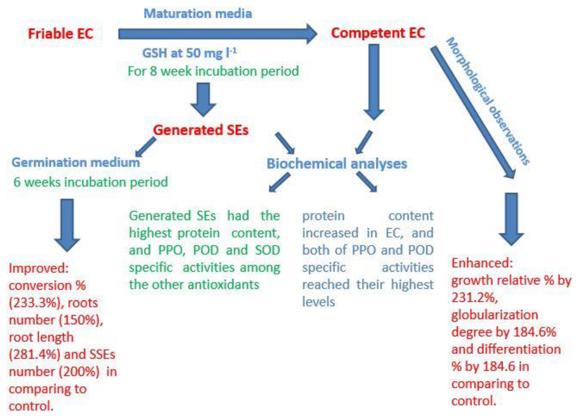 Plants 11 02023 g005