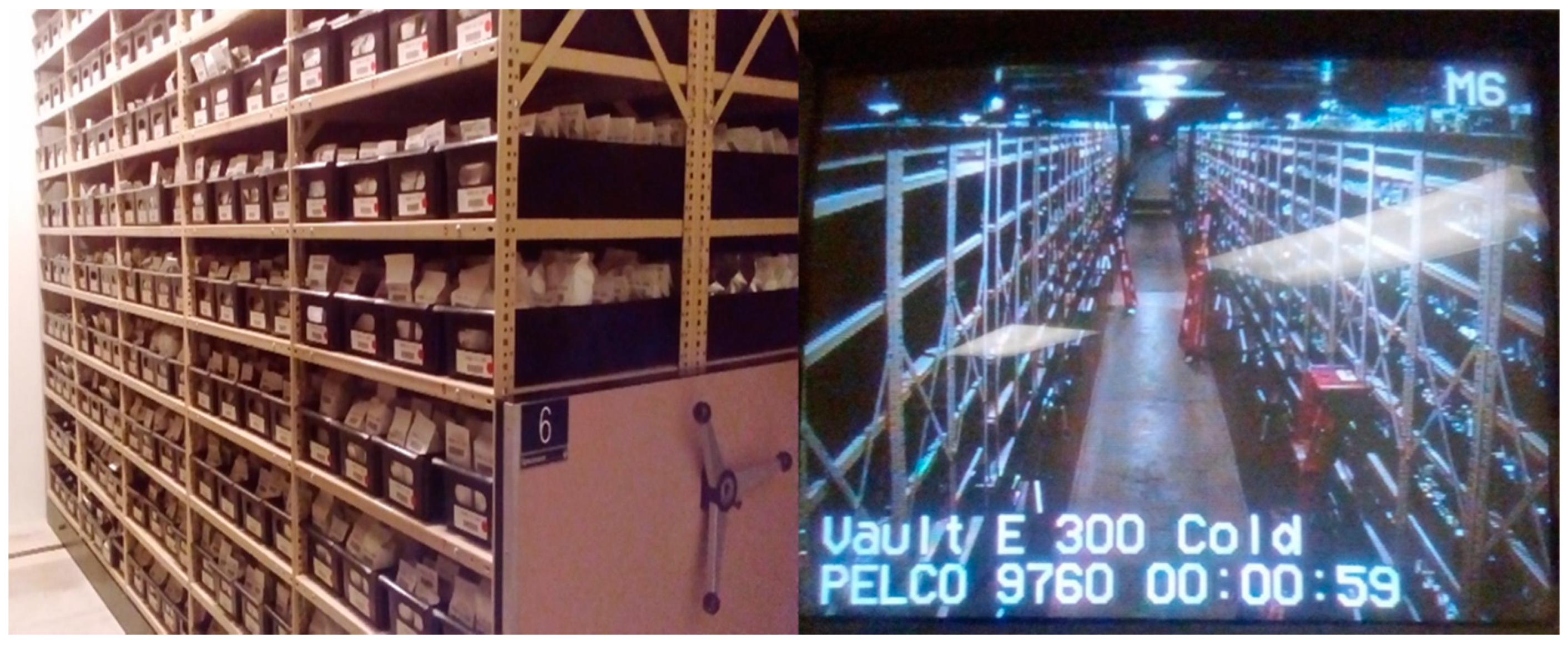 Plants 11 02038 g008 Plants 11 02038 g008