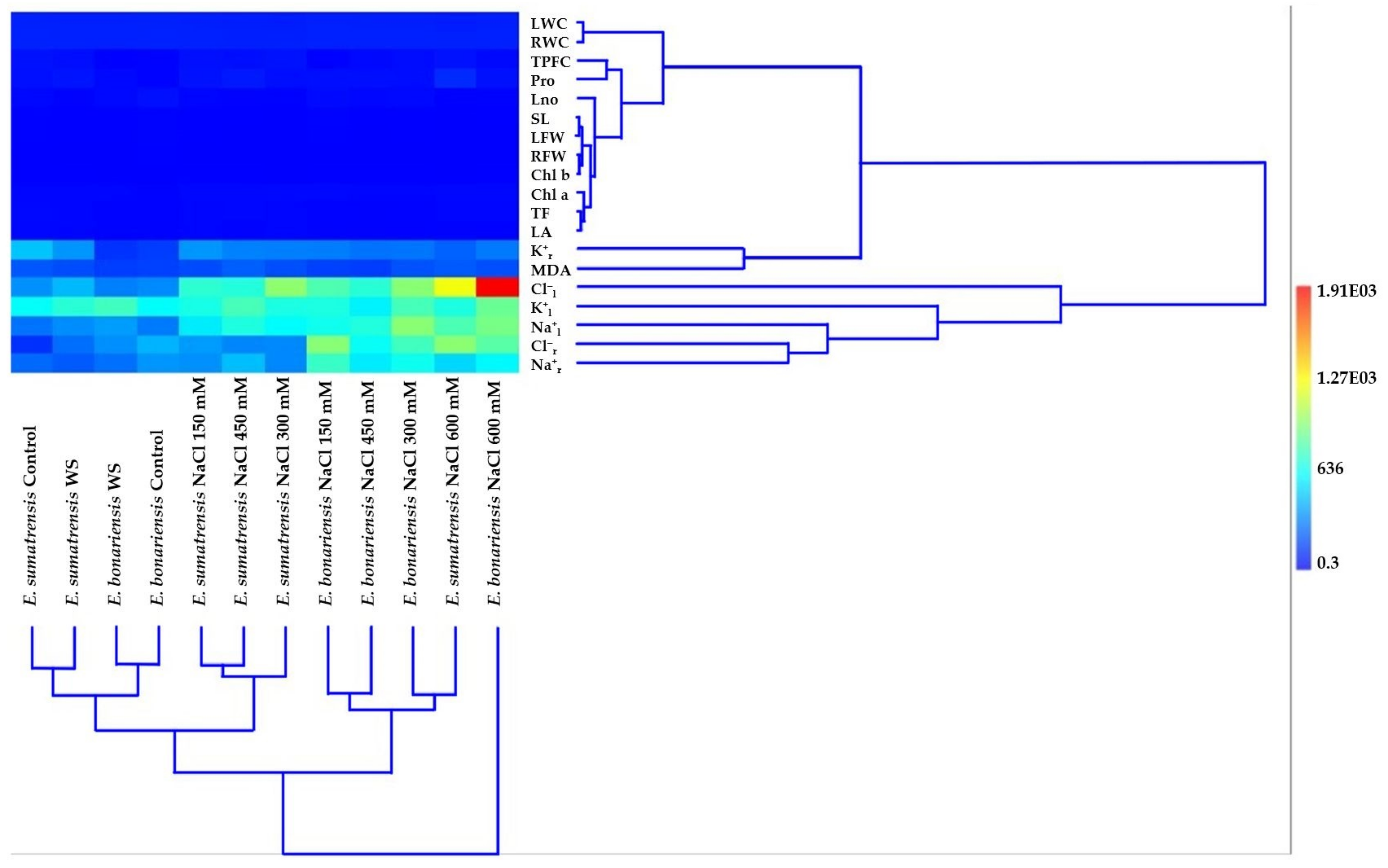 Plants 11 02059 g010