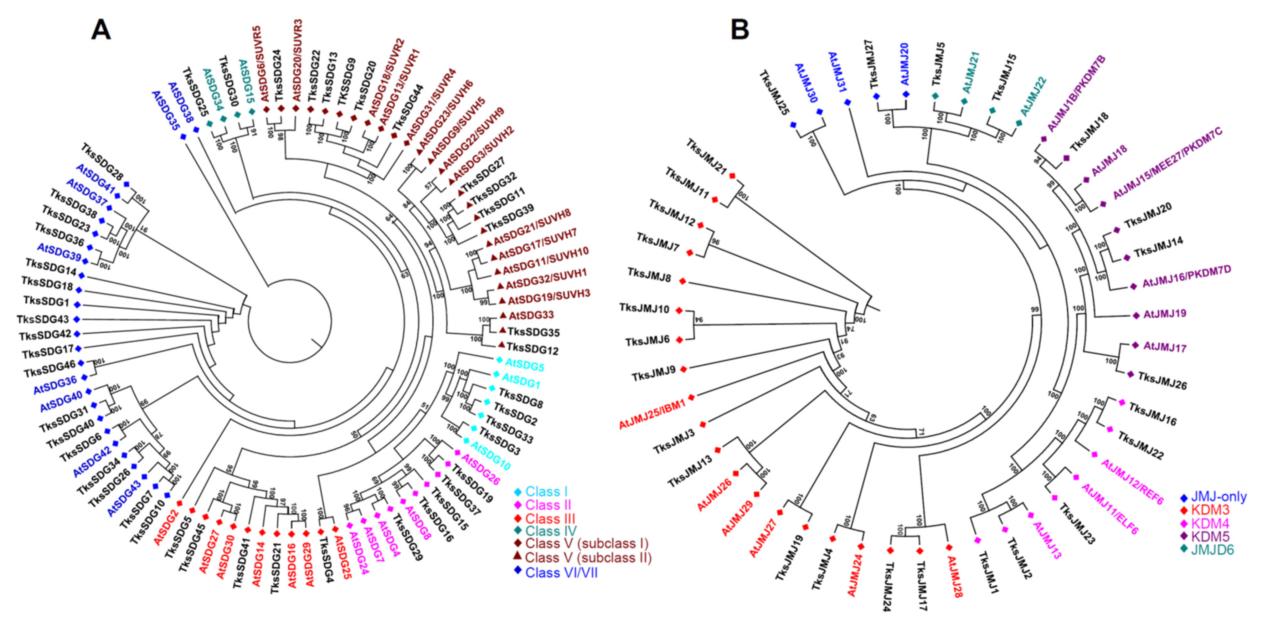 Plants 11 02077 g001