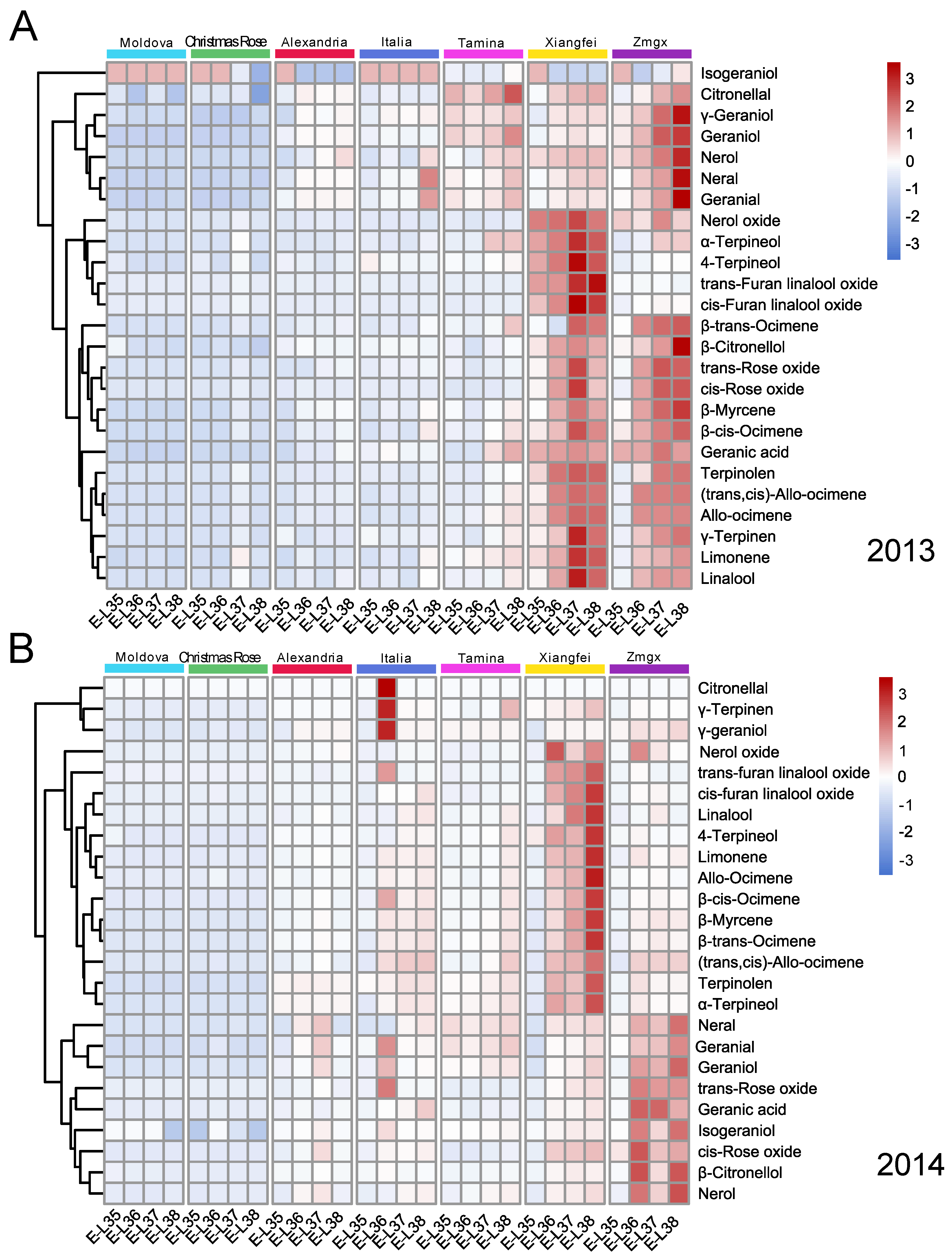 Plants 11 02143 g001