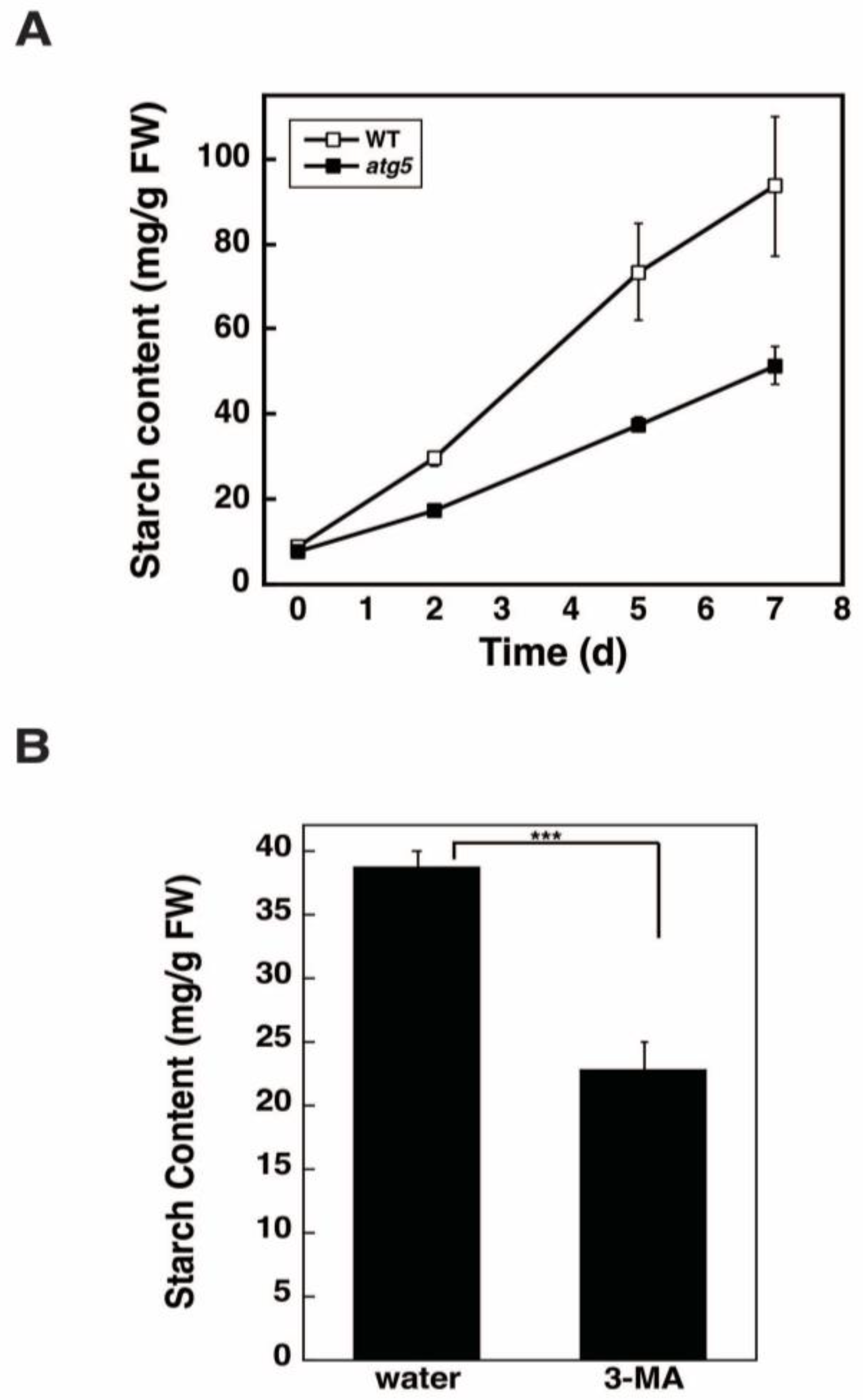 Plants 11 02157 g004