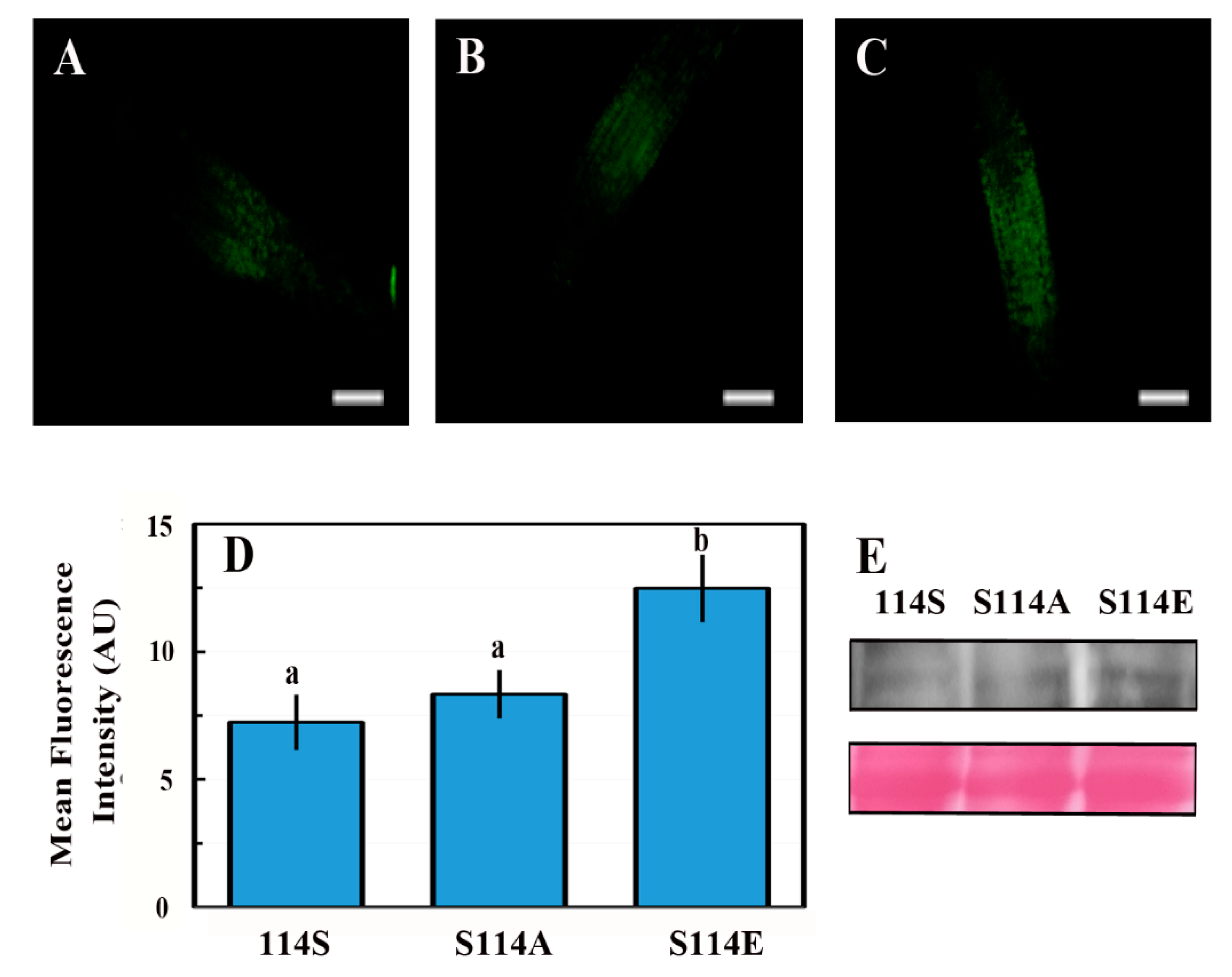 Plants 11 02179 g009