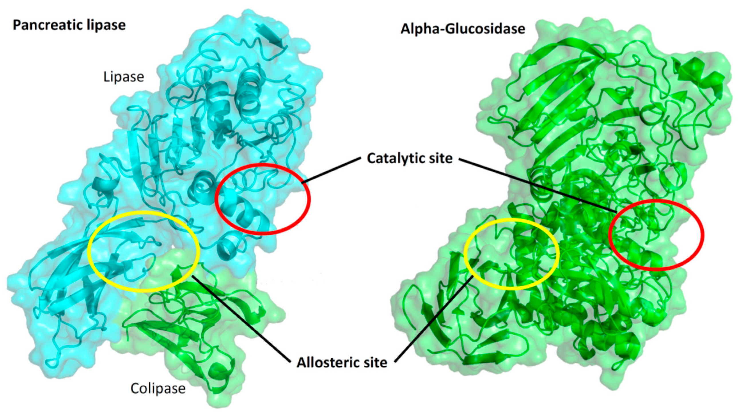 Plants 11 02188 g002