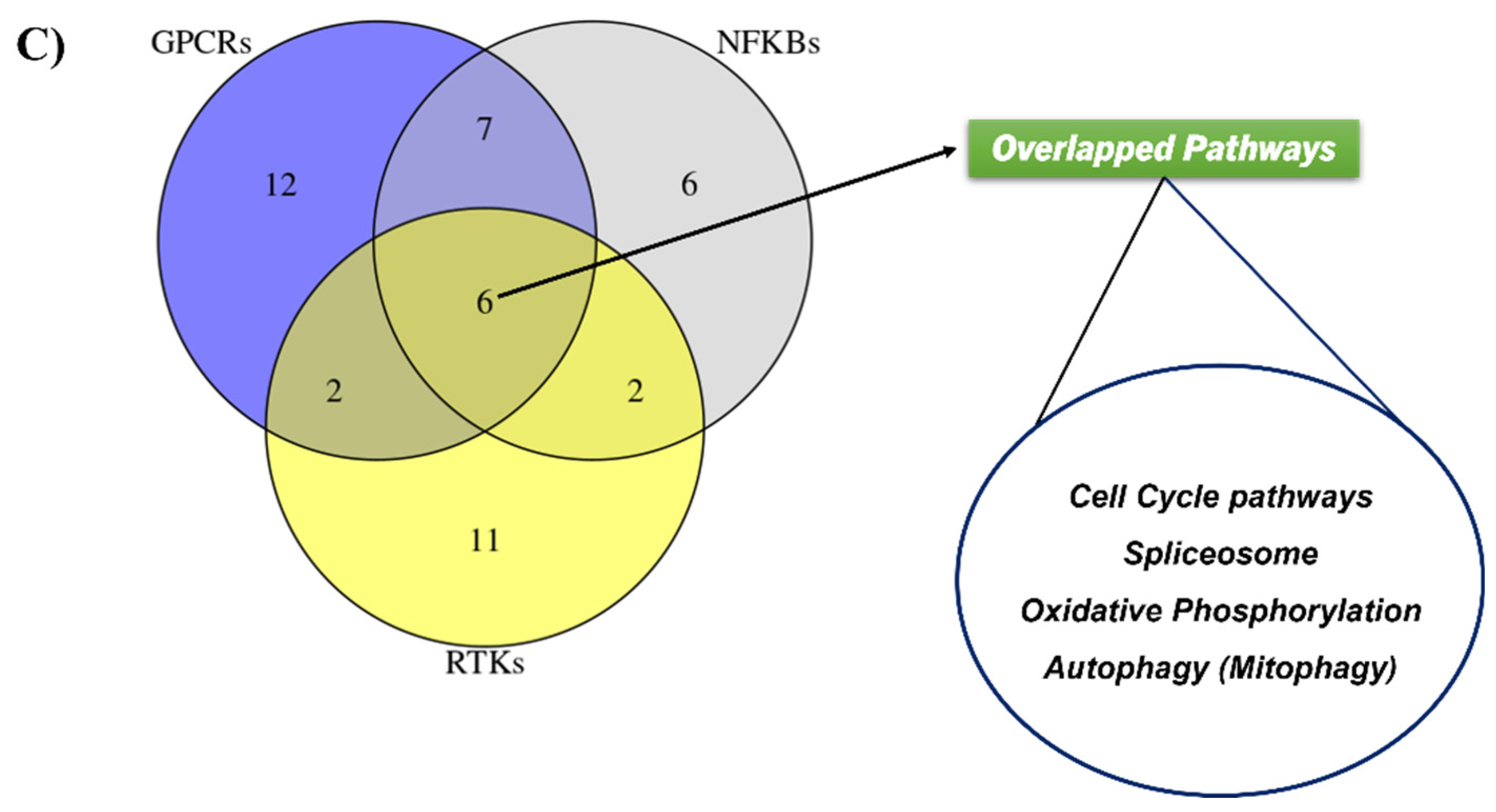 Plants 11 02195 g002b