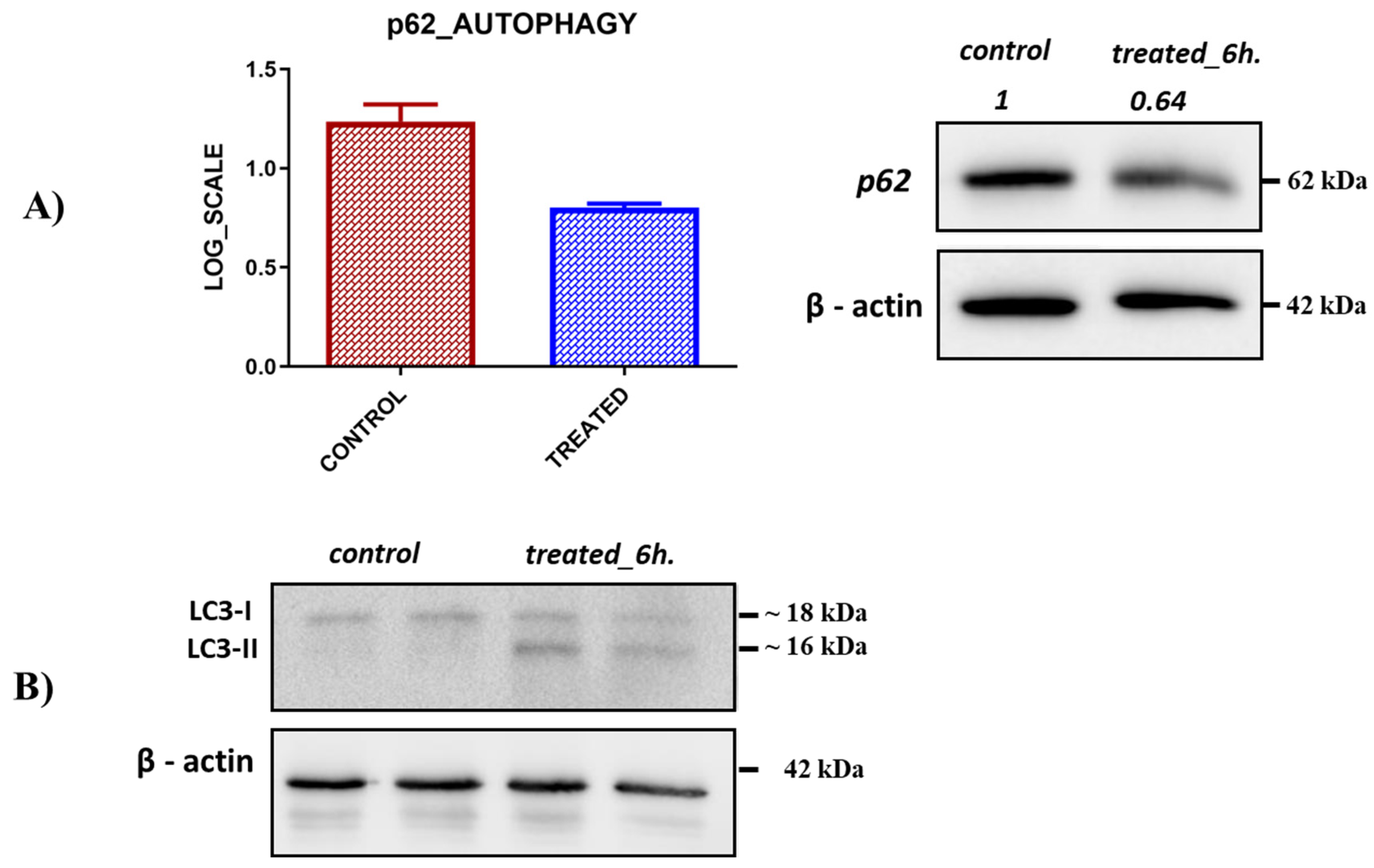 Plants 11 02195 g007