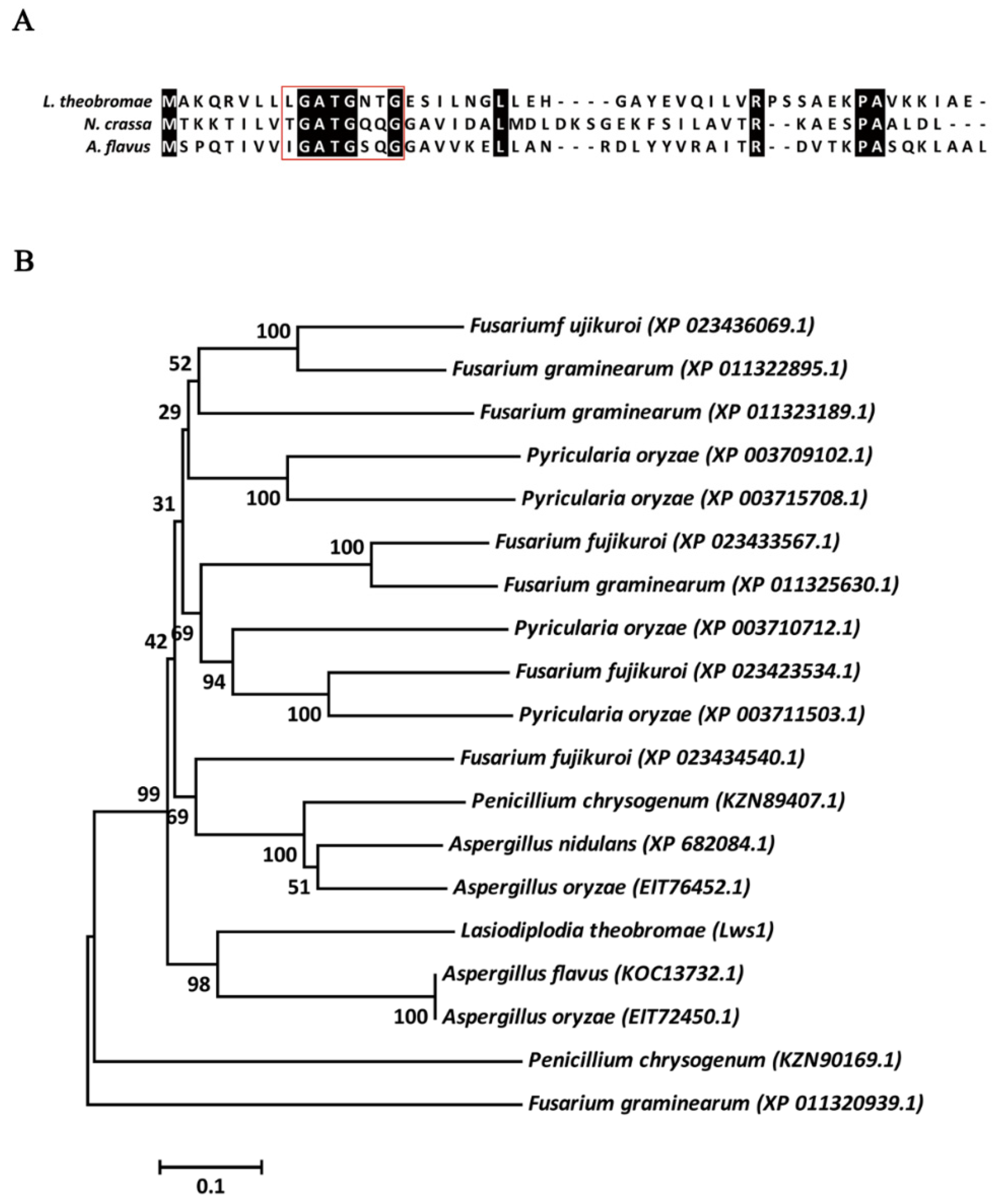 Plants 11 02197 g001