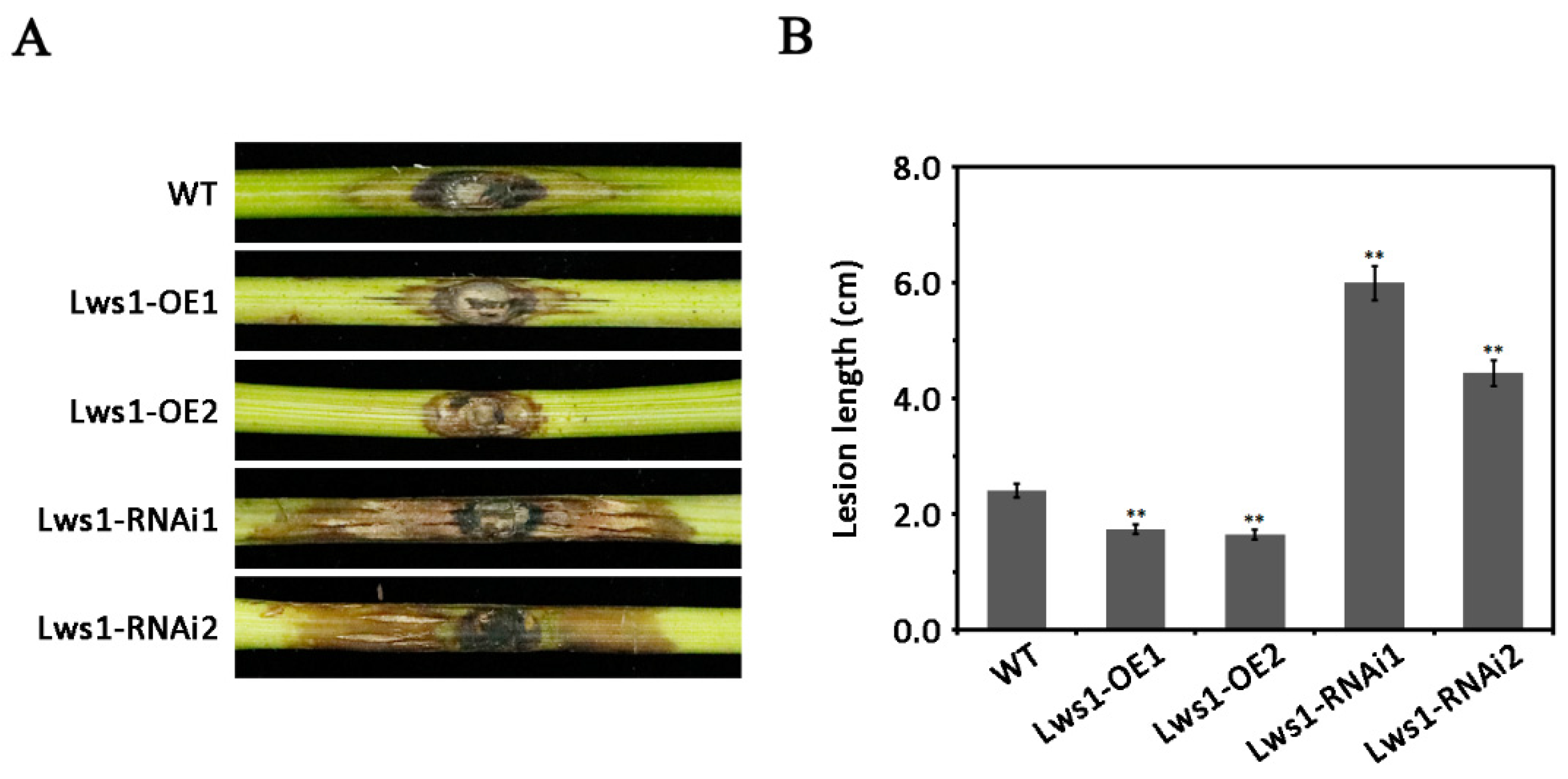 Plants 11 02197 g002