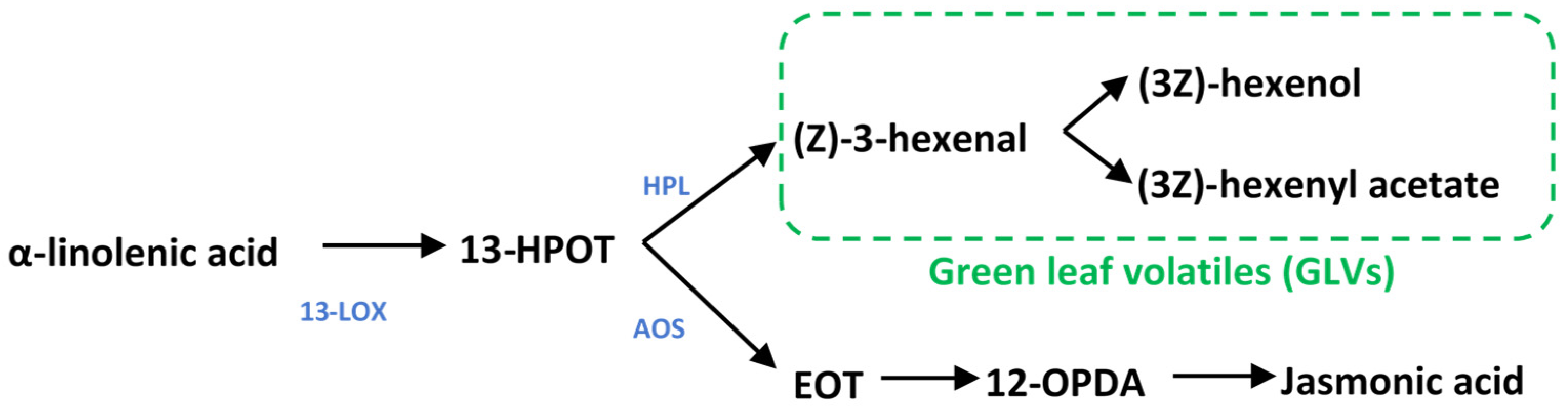 Plants 11 02201 g001