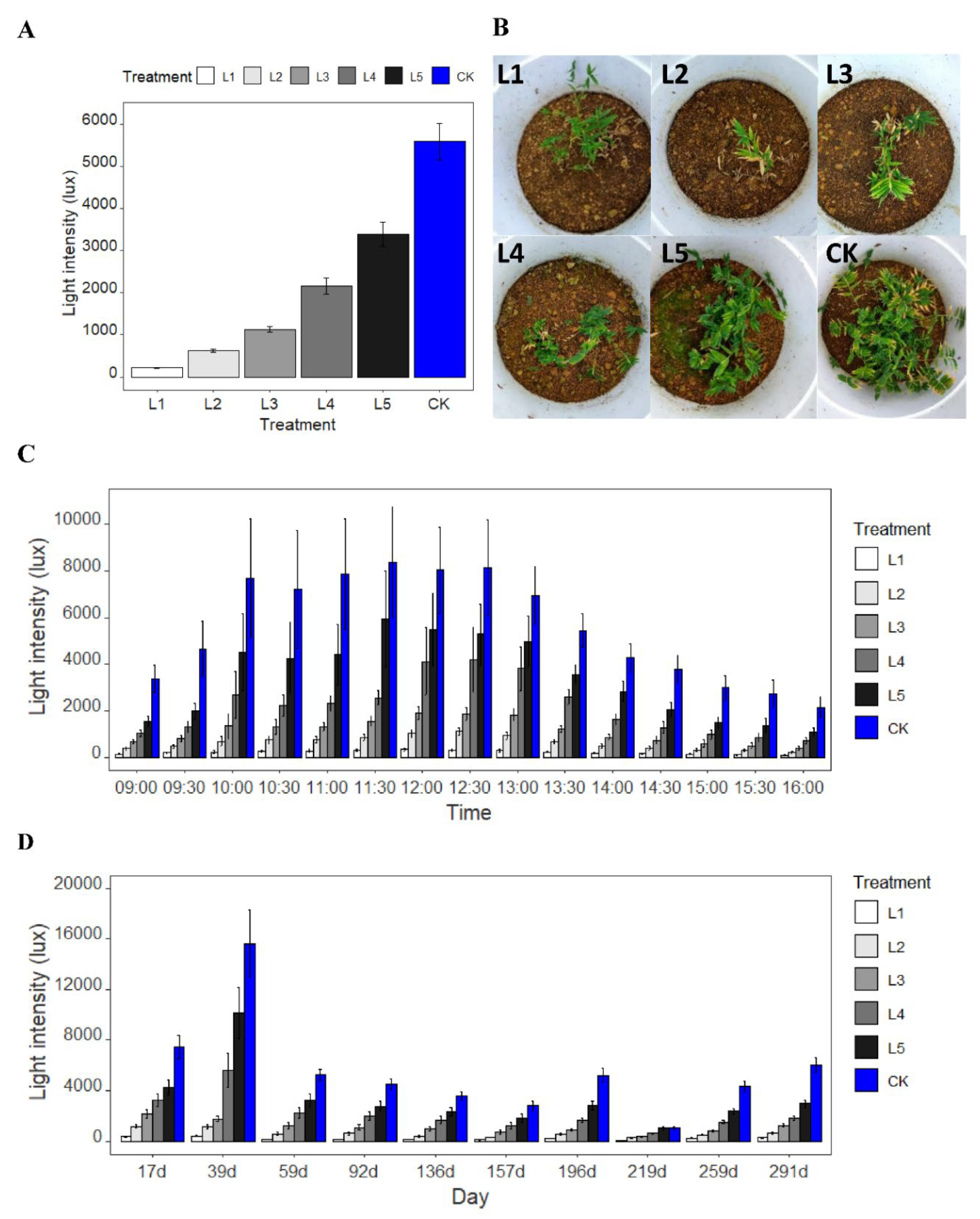 Plants 11 02204 g001