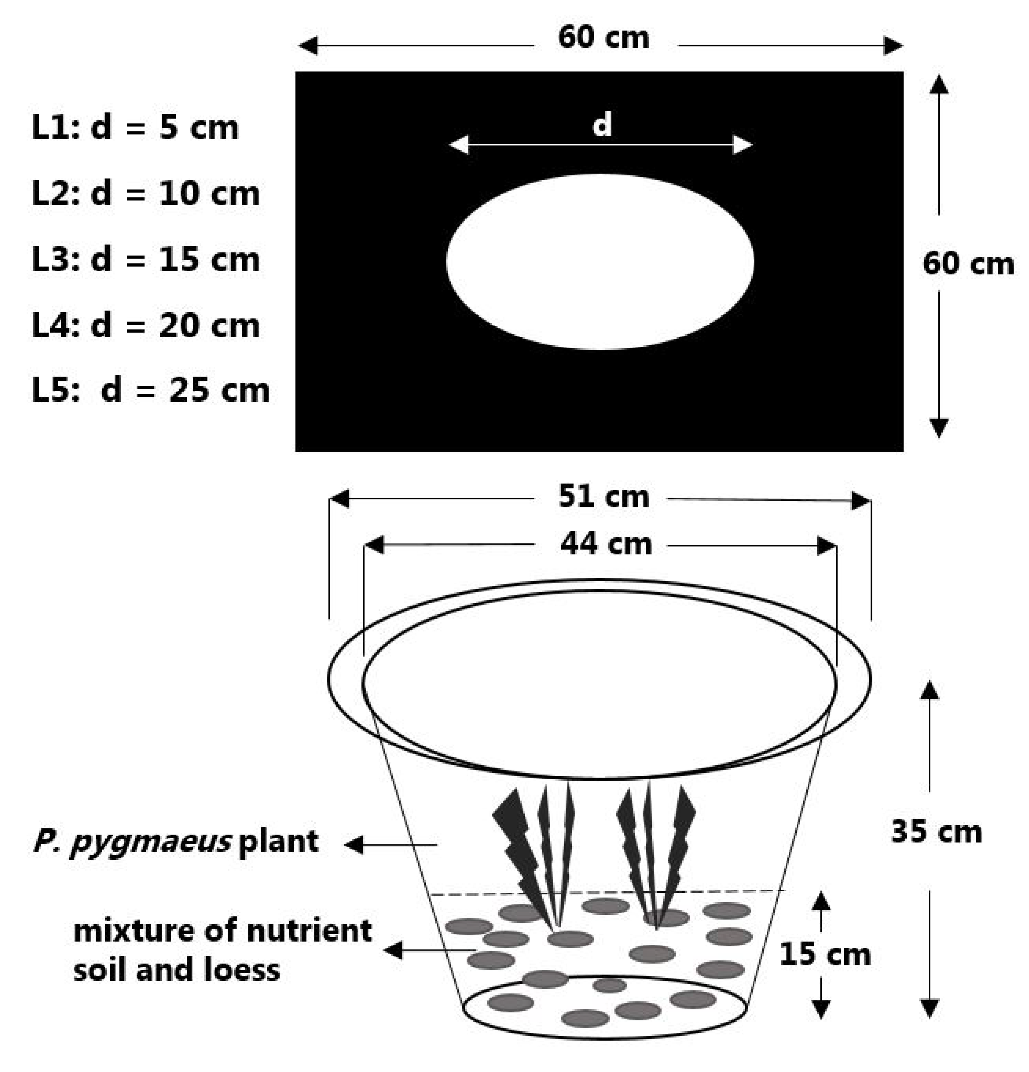 Plants 11 02204 g005