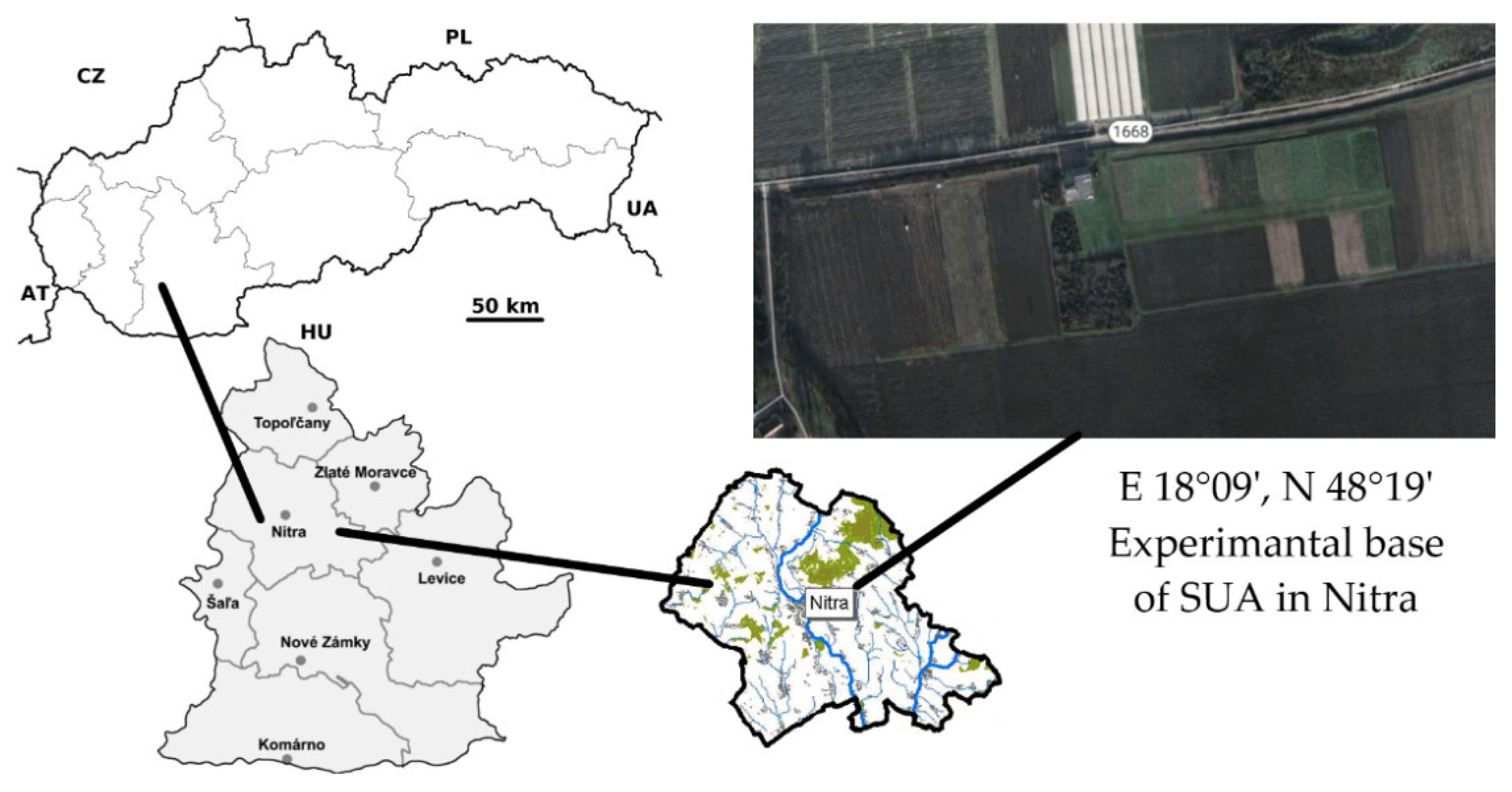 Plants 11 02222 g011