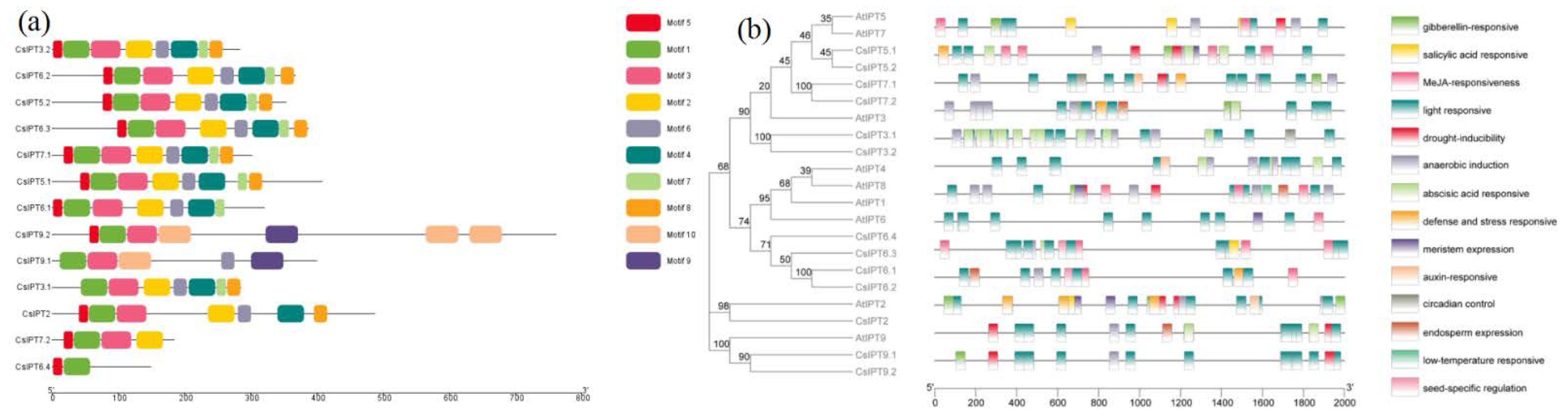 Plants 11 02243 g003