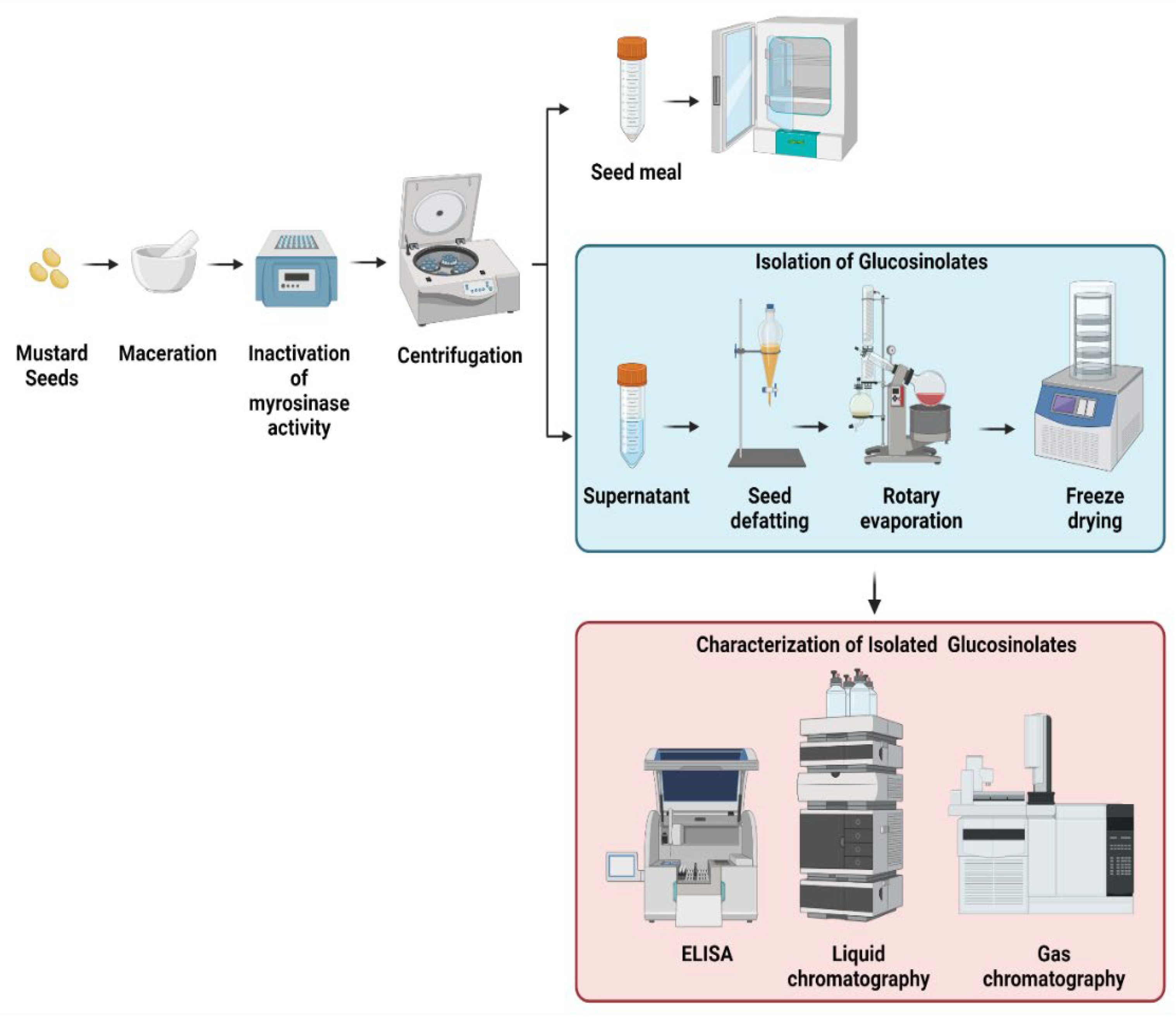 Plants 11 02290 g003 Plants 11 02290 g003