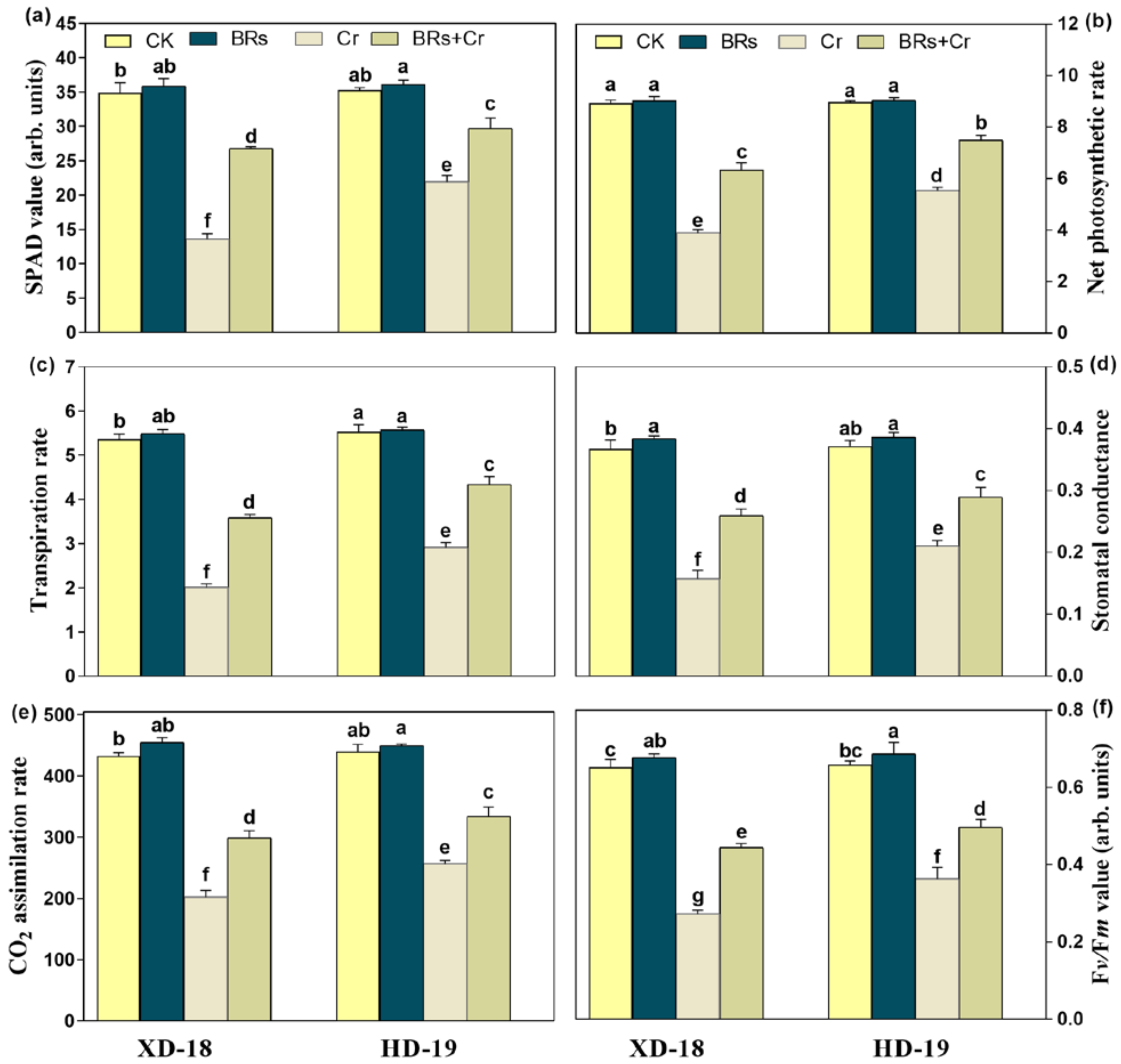 Plants 11 02292 g001