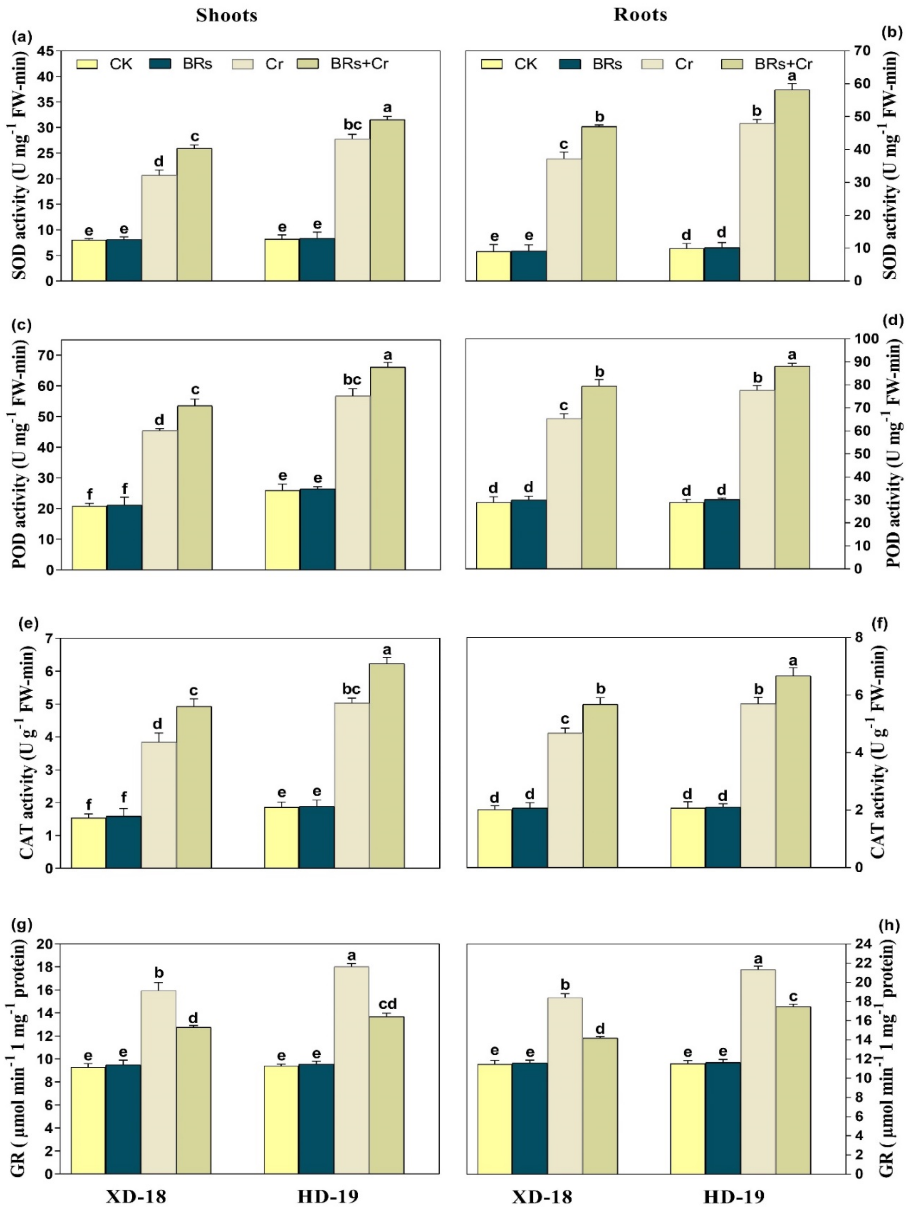 Plants 11 02292 g007